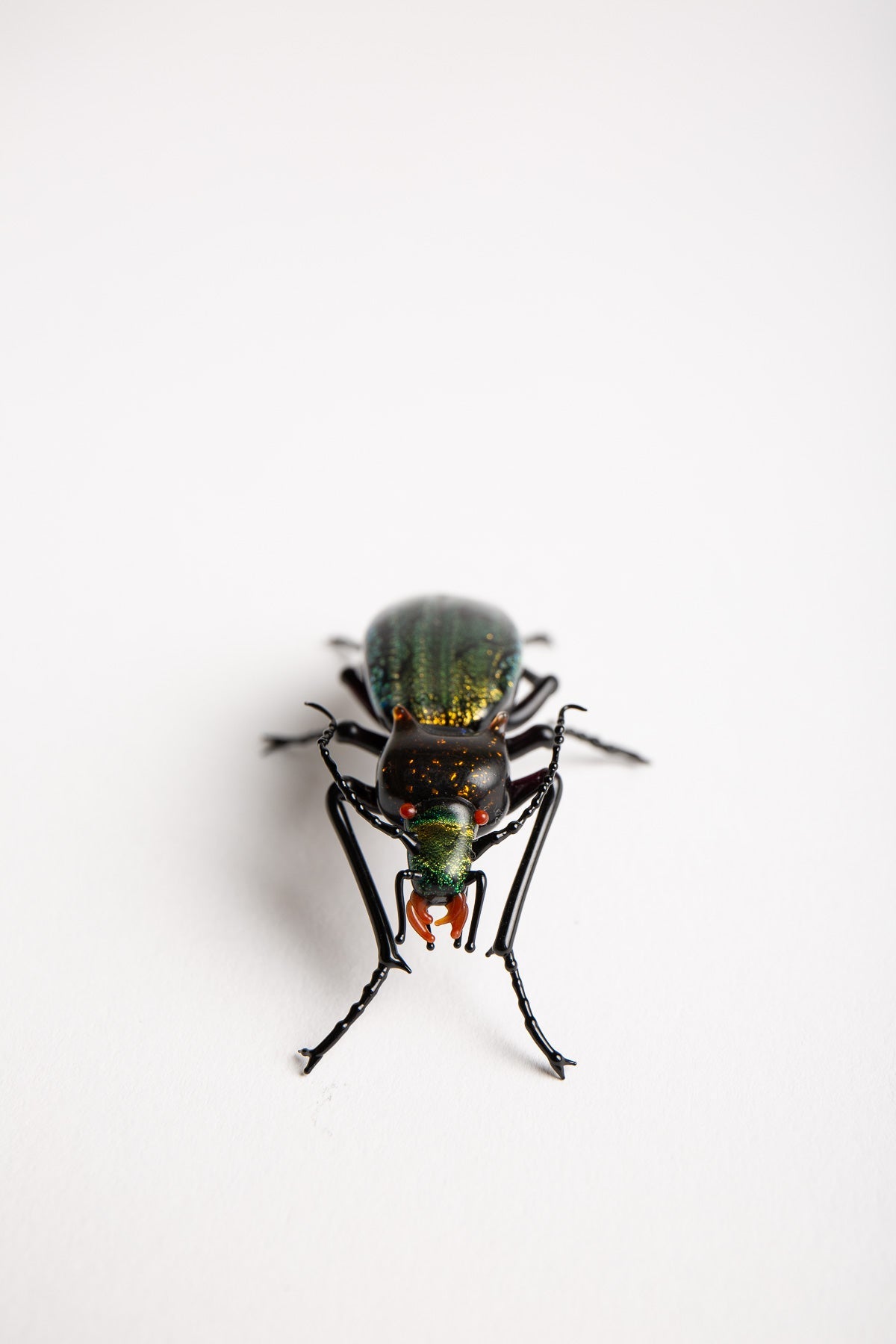 MAXFIELD PRIVATE COLLECTION | CARABIDAE BEETLE