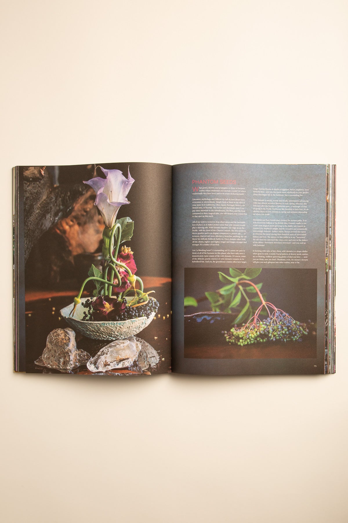 ABRAMS | PUNK IKEBANA: REIMAGINING THE ART OF FLORAL DESIGN - MAXFIELD LA
