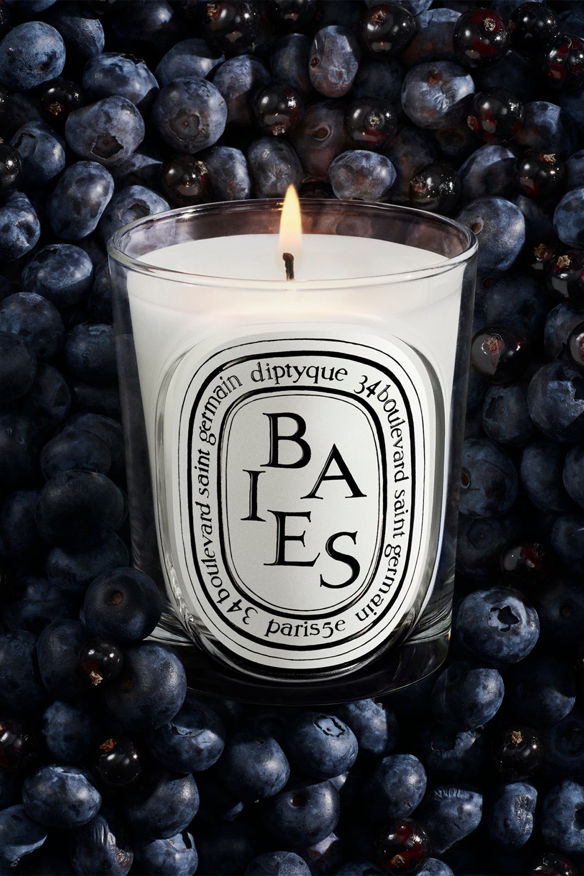 DIPTYQUE | BAIES 190G CANDLE