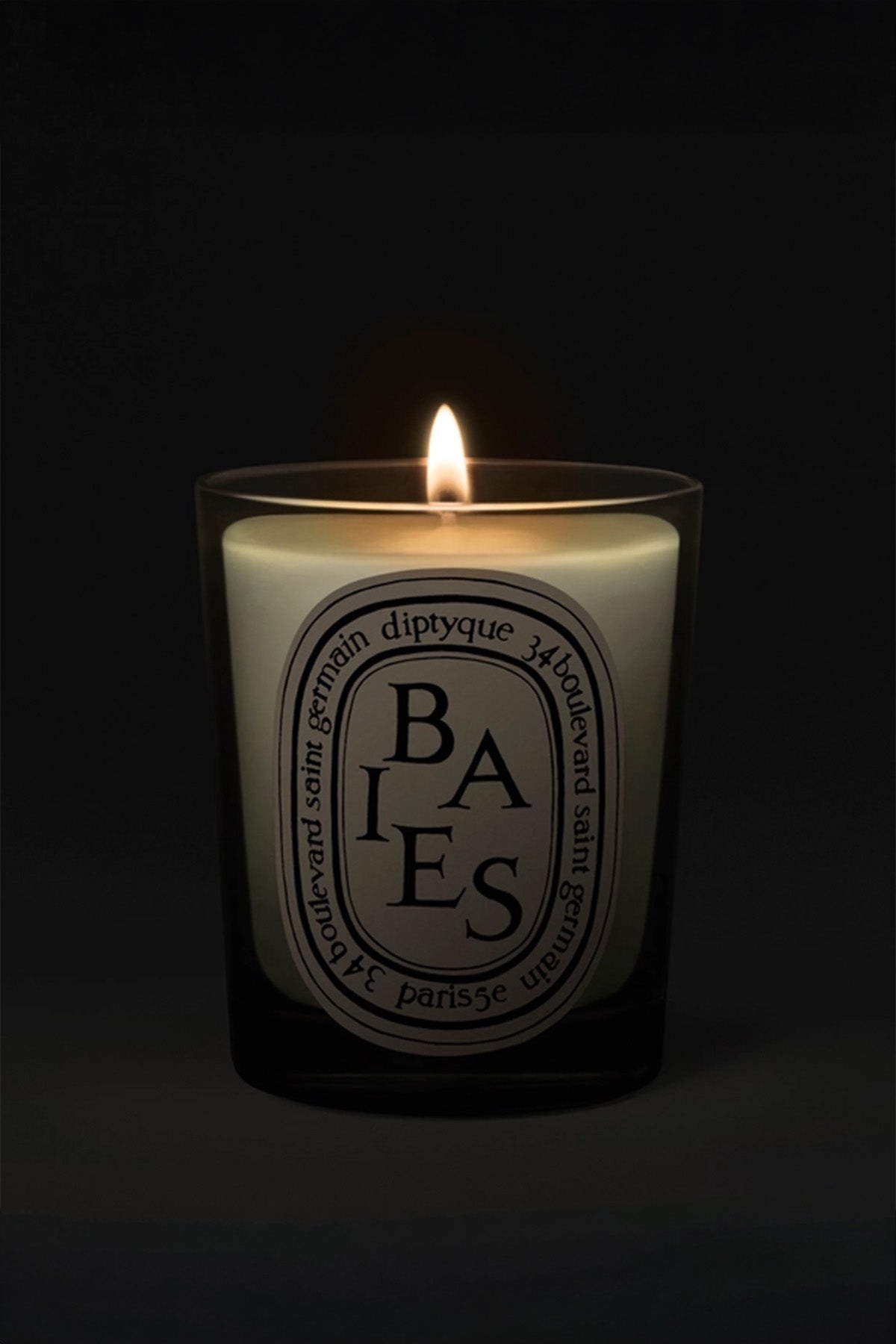 DIPTYQUE | BAIES 190G CANDLE