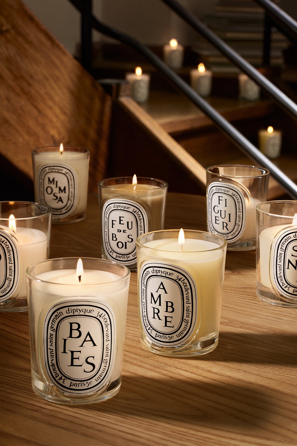 DIPTYQUE | BAIES 190G CANDLE
