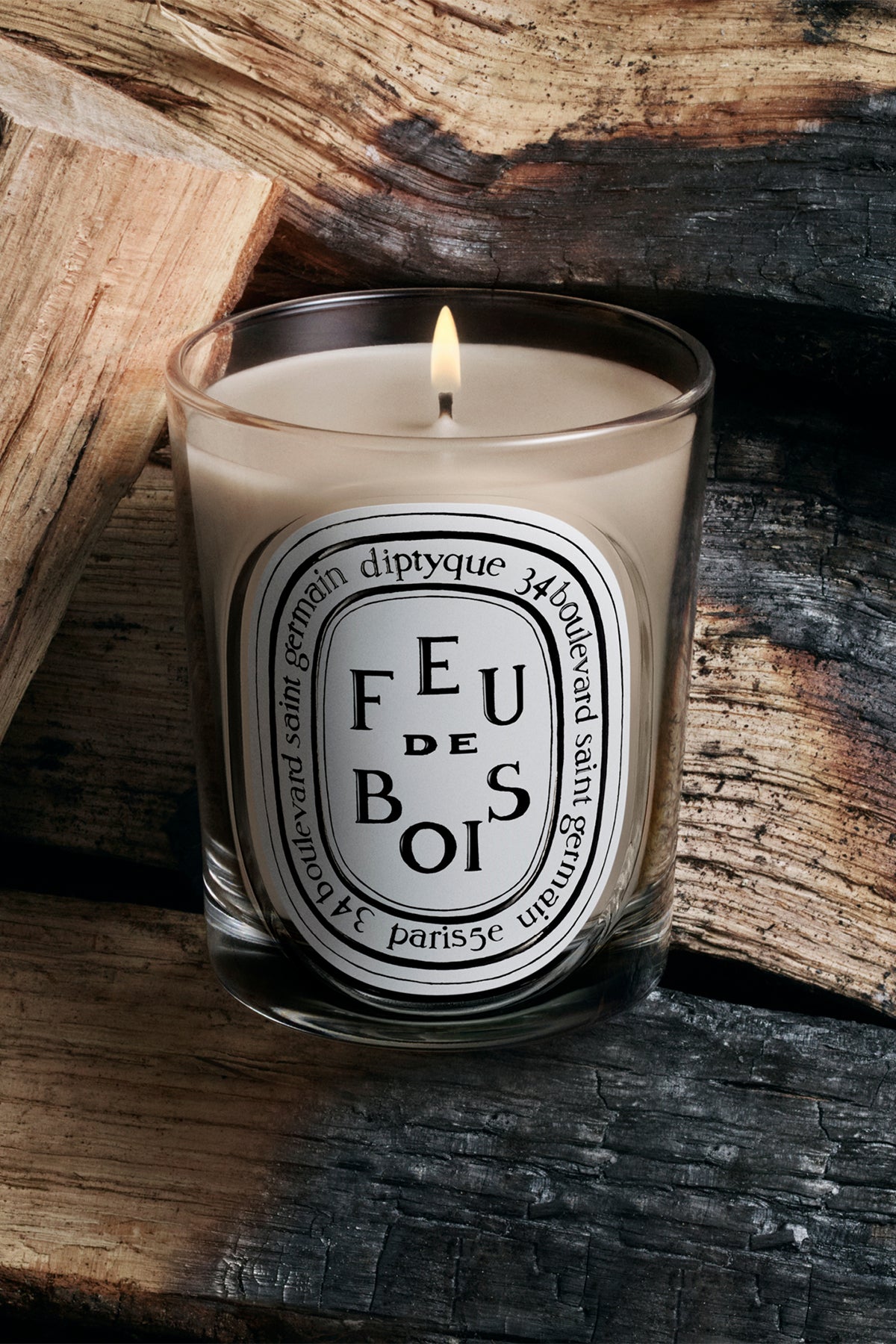 DIPTYQUE | FEU DE BOIS 190G CANDLE