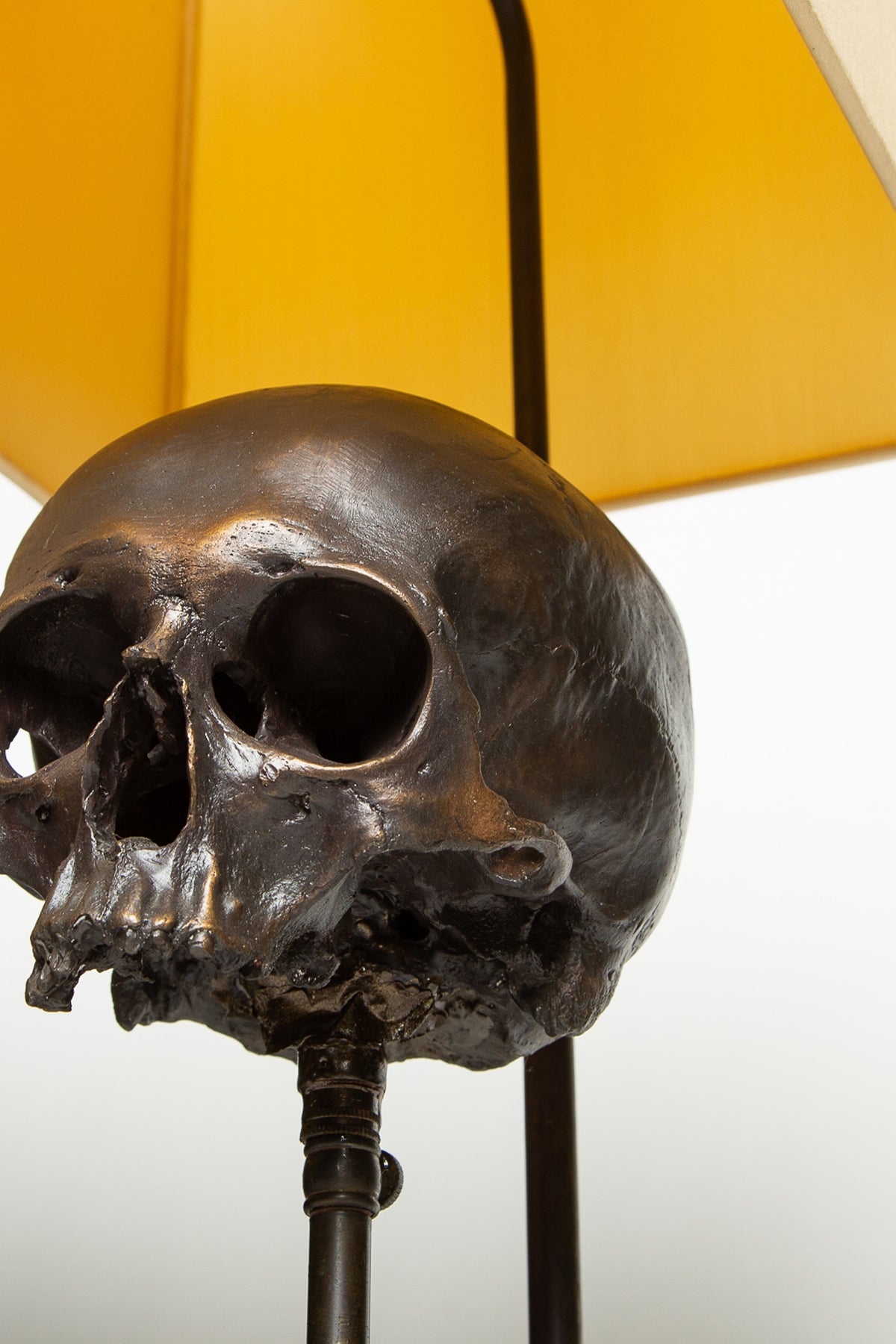 MAXFIELD PRIVATE COLLECTION | SKULL TABLE LAMP - MAXFIELD LA