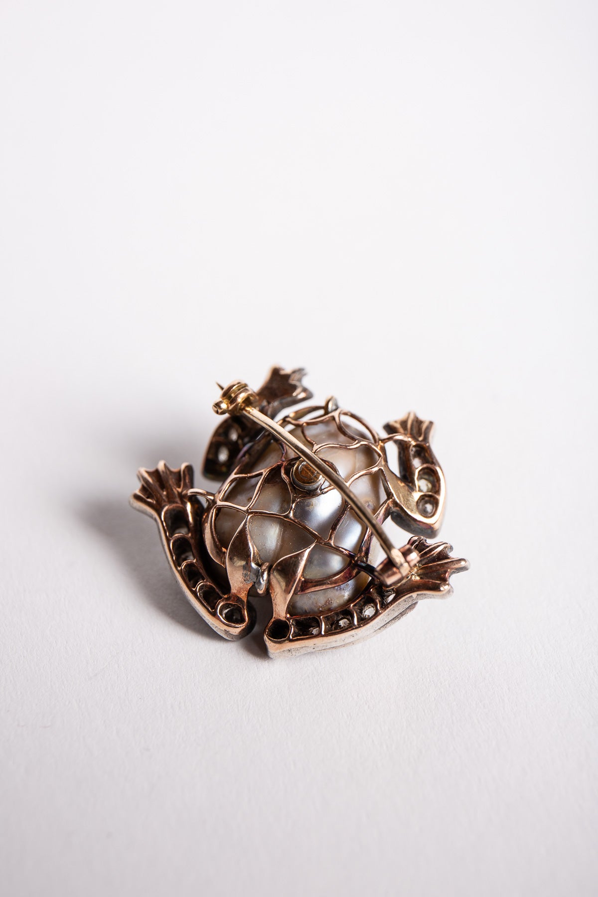 MAXFIELD PRIVATE COLLECTION | VINTAGE ABALONE SHELL FROG BROOCH - MAXFIELD LA