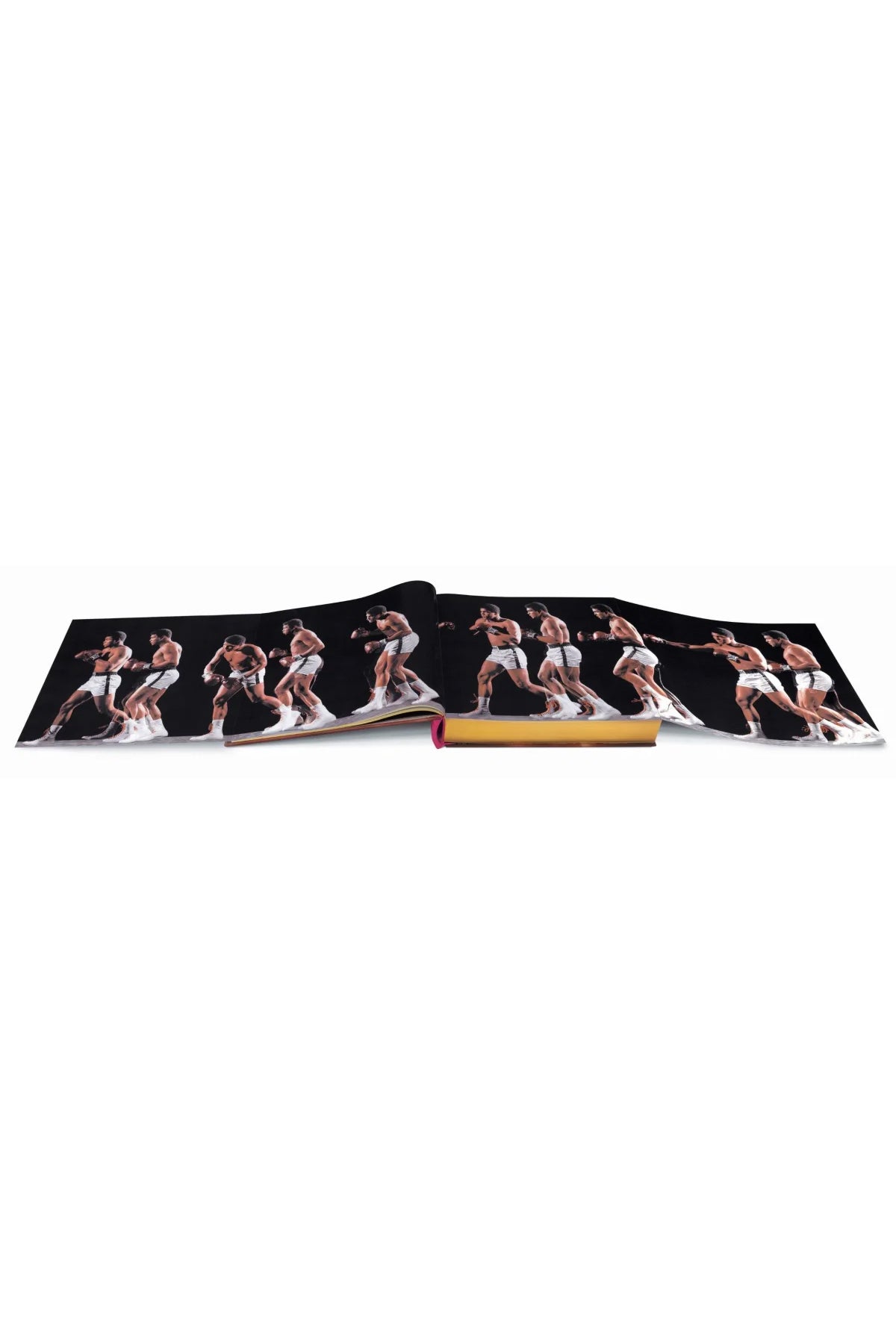 TASCHEN | GOAT SUMO - MAXFIELD LA