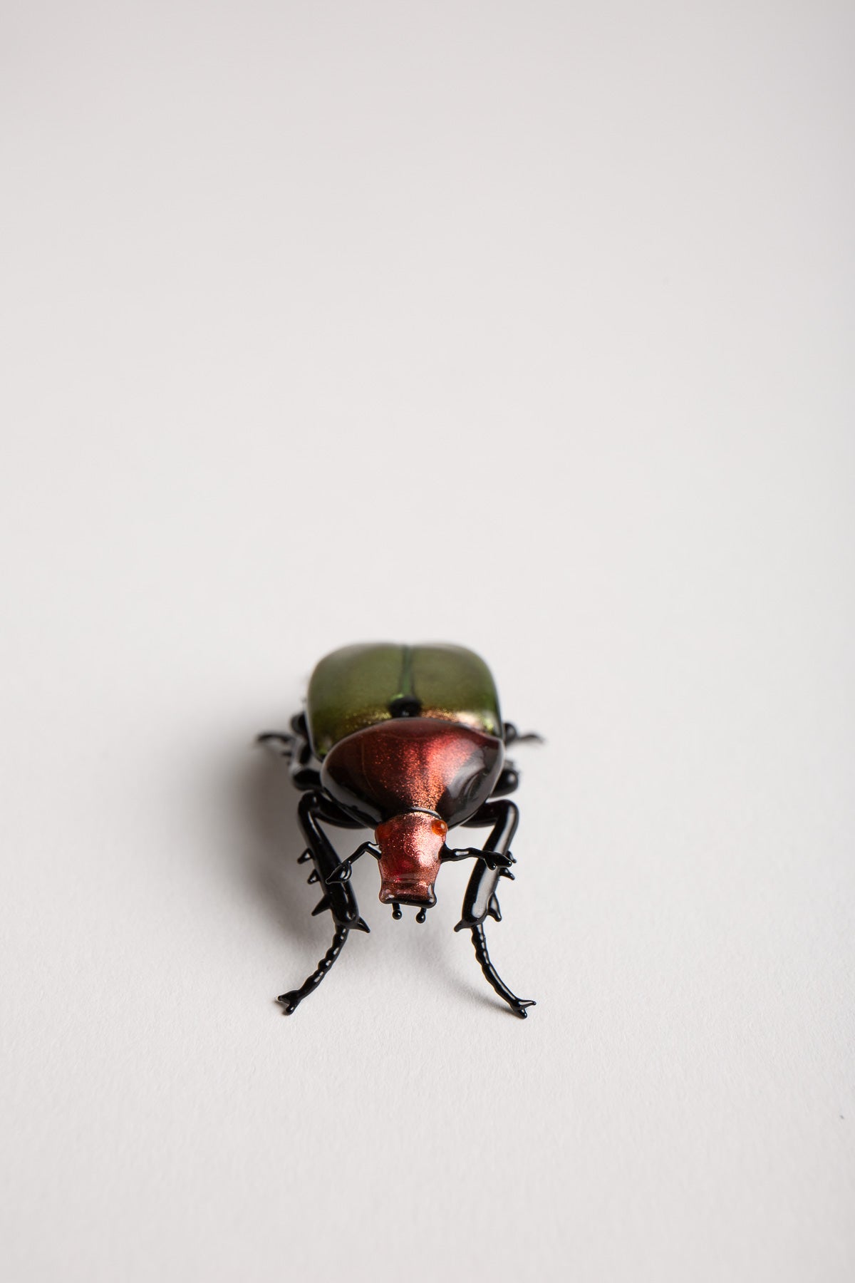 MAXFIELD PRIVATE COLLECTION | GREEN JUNE BEETLE