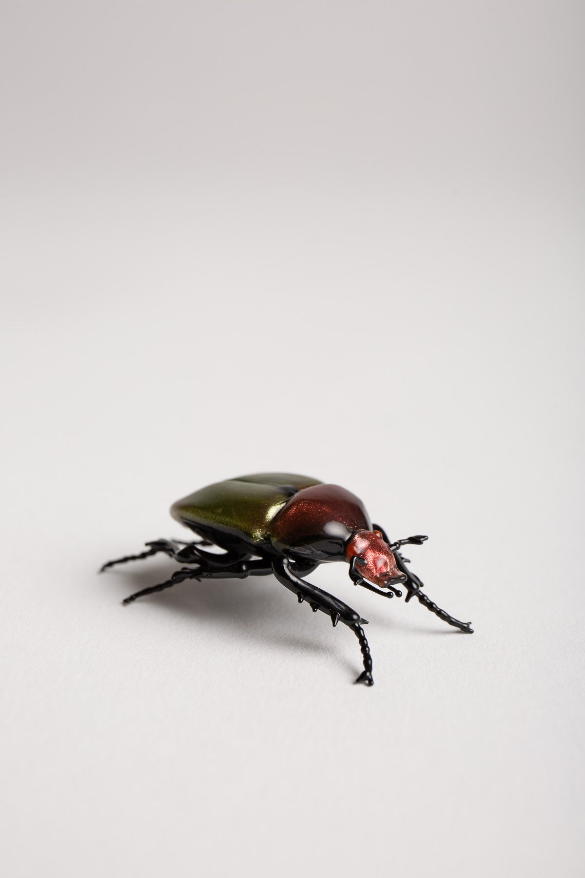 MAXFIELD PRIVATE COLLECTION | GREEN JUNE BEETLE