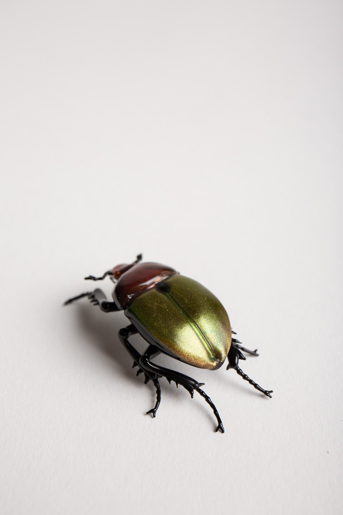 MAXFIELD PRIVATE COLLECTION | GREEN JUNE BEETLE