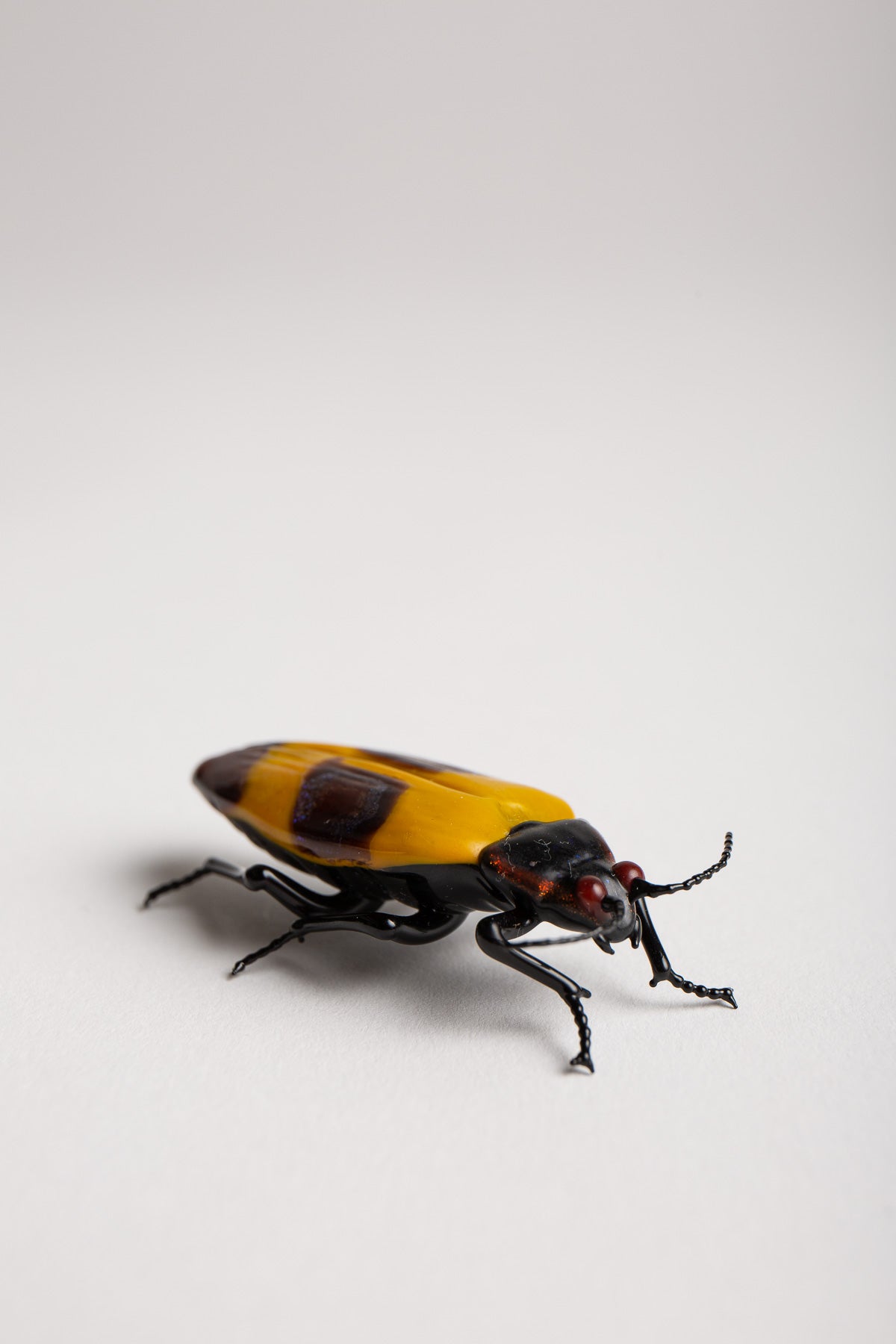 MAXFIELD PRIVATE COLLECTION | STRIPED BEETLE