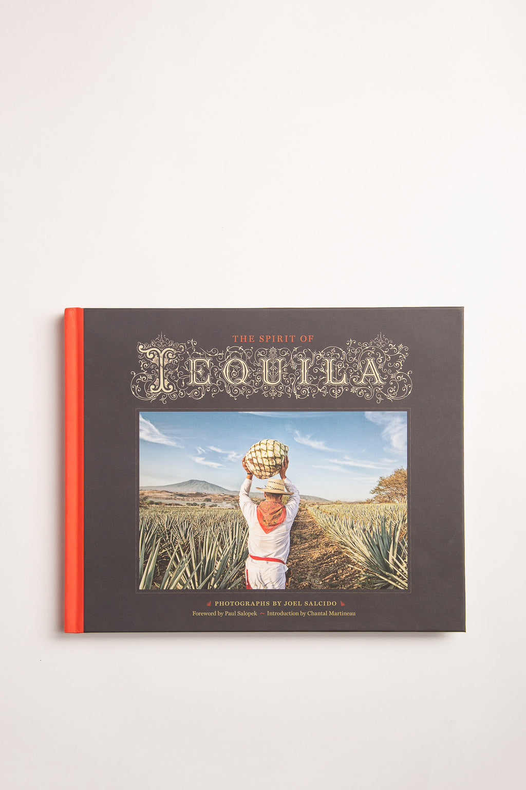 agave spirits book INGRAM