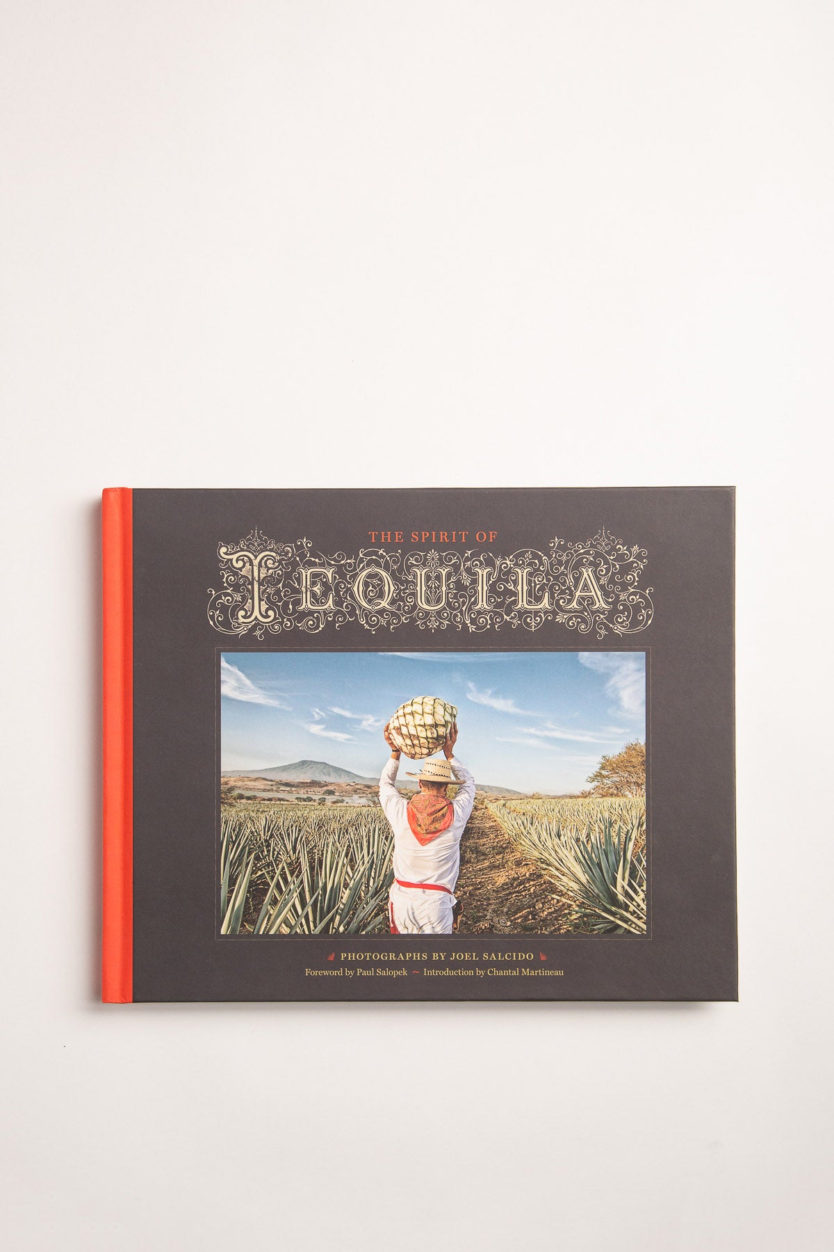 INGRAM | SPIRIT OF TEQUILA - MAXFIELD LA