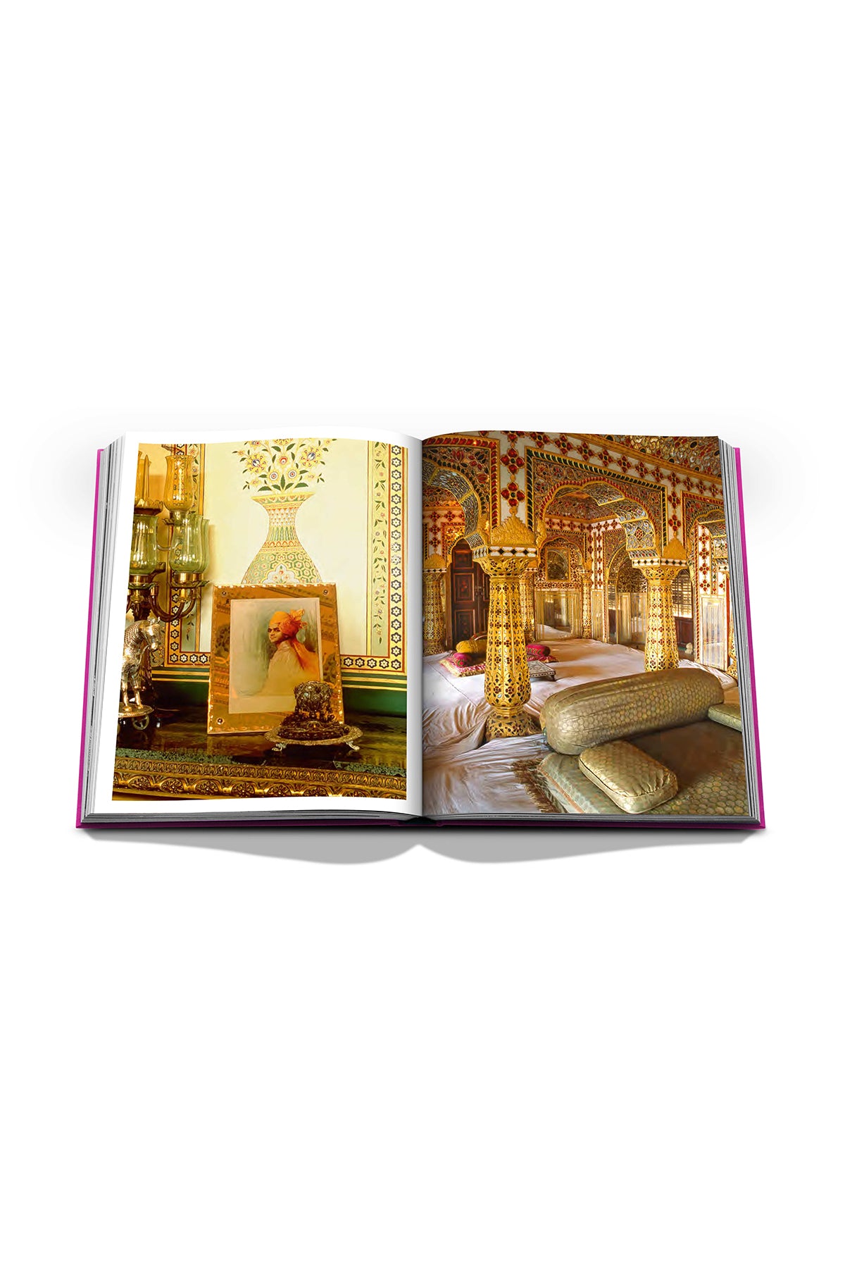 ASSOULINE | JAIPUR SPLENDOR - MAXFIELD LA