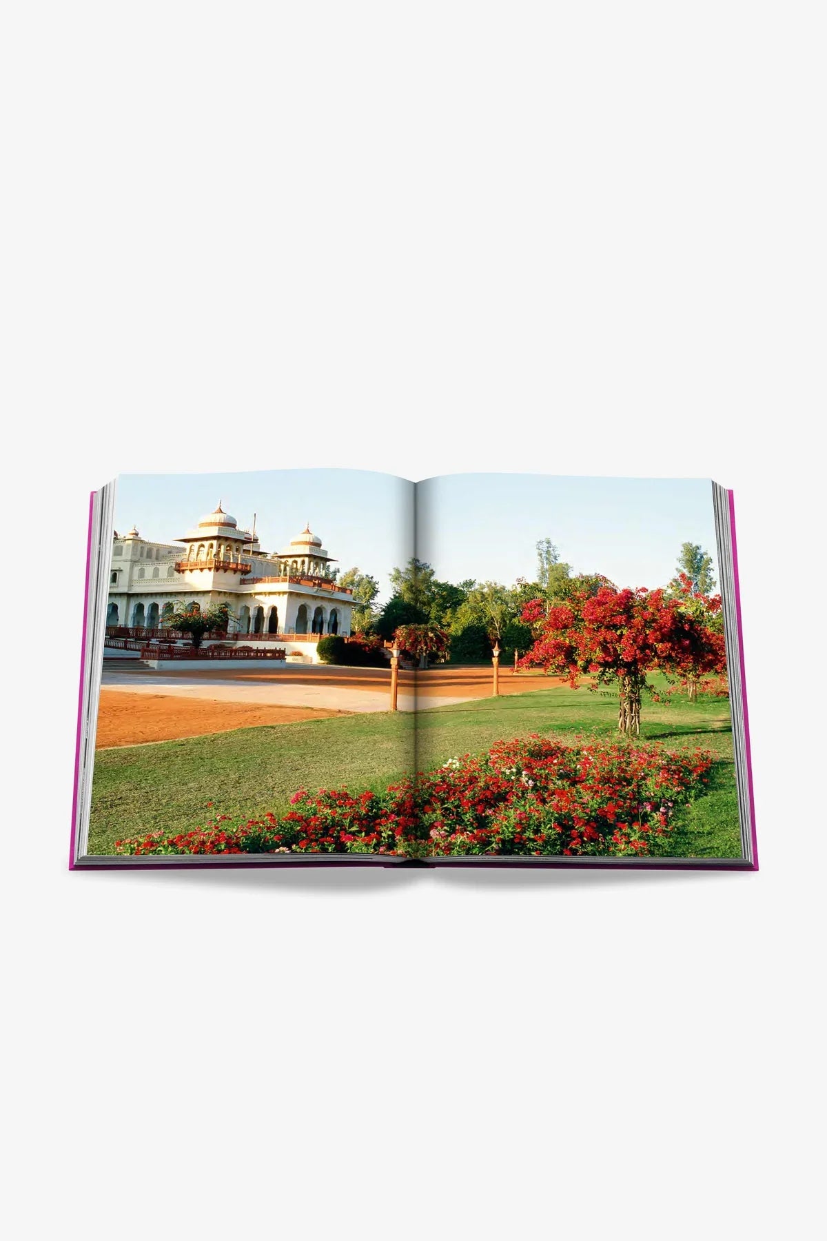 ASSOULINE | JAIPUR SPLENDOR