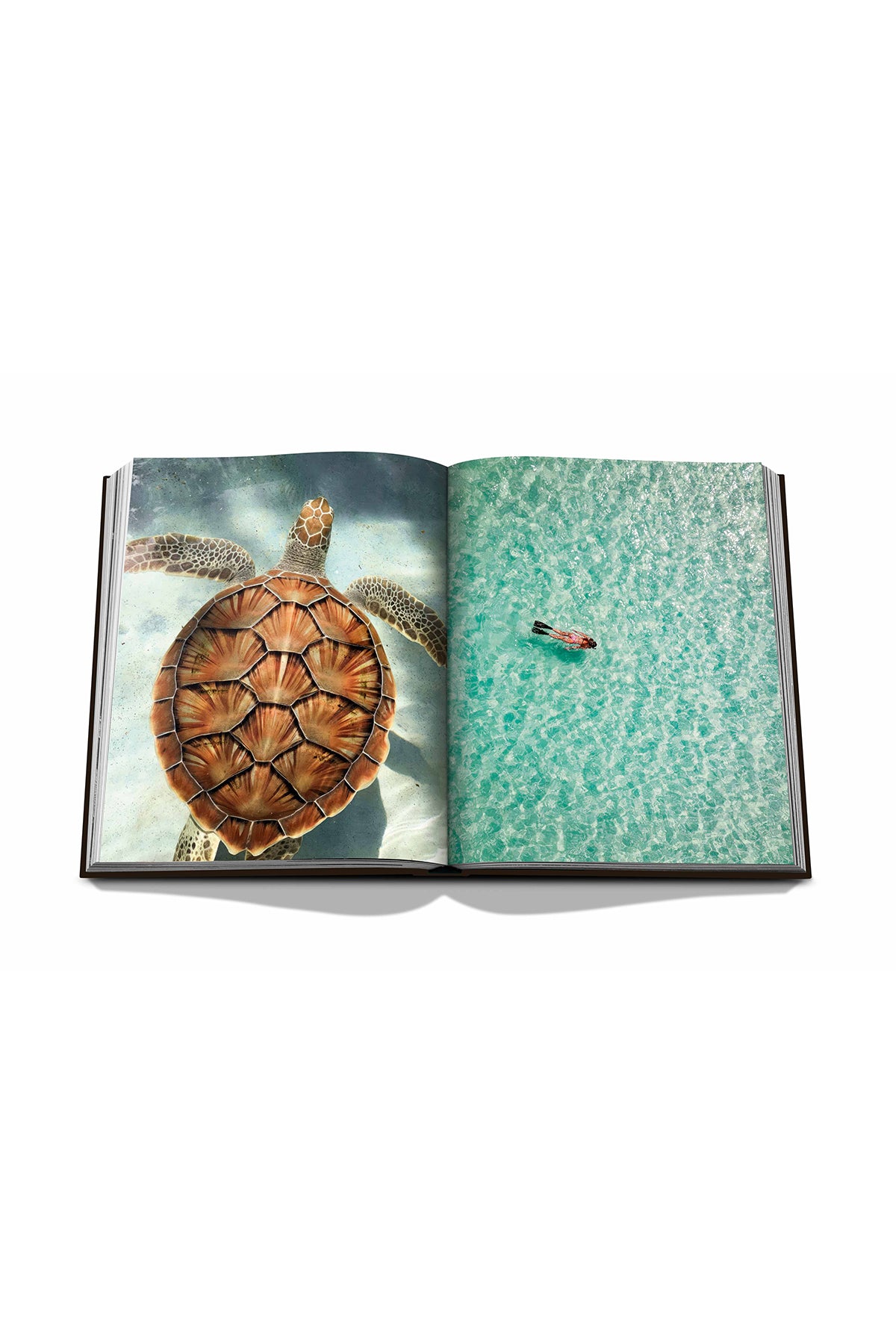 ASSOULINE | JAMAICA VIBES - MAXFIELD LA