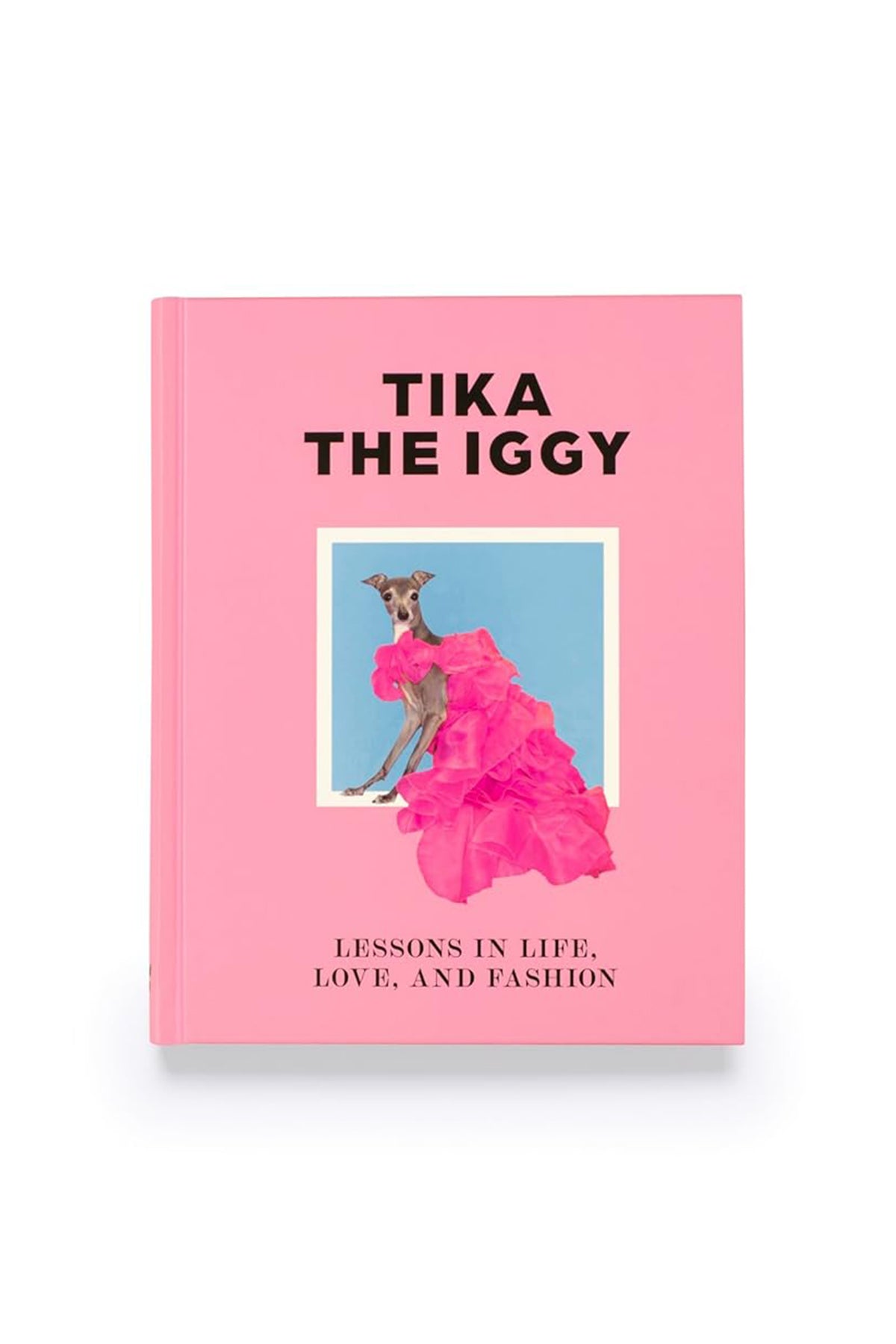 LAURENCE KING | TIKA THE IGGY - MAXFIELD LA