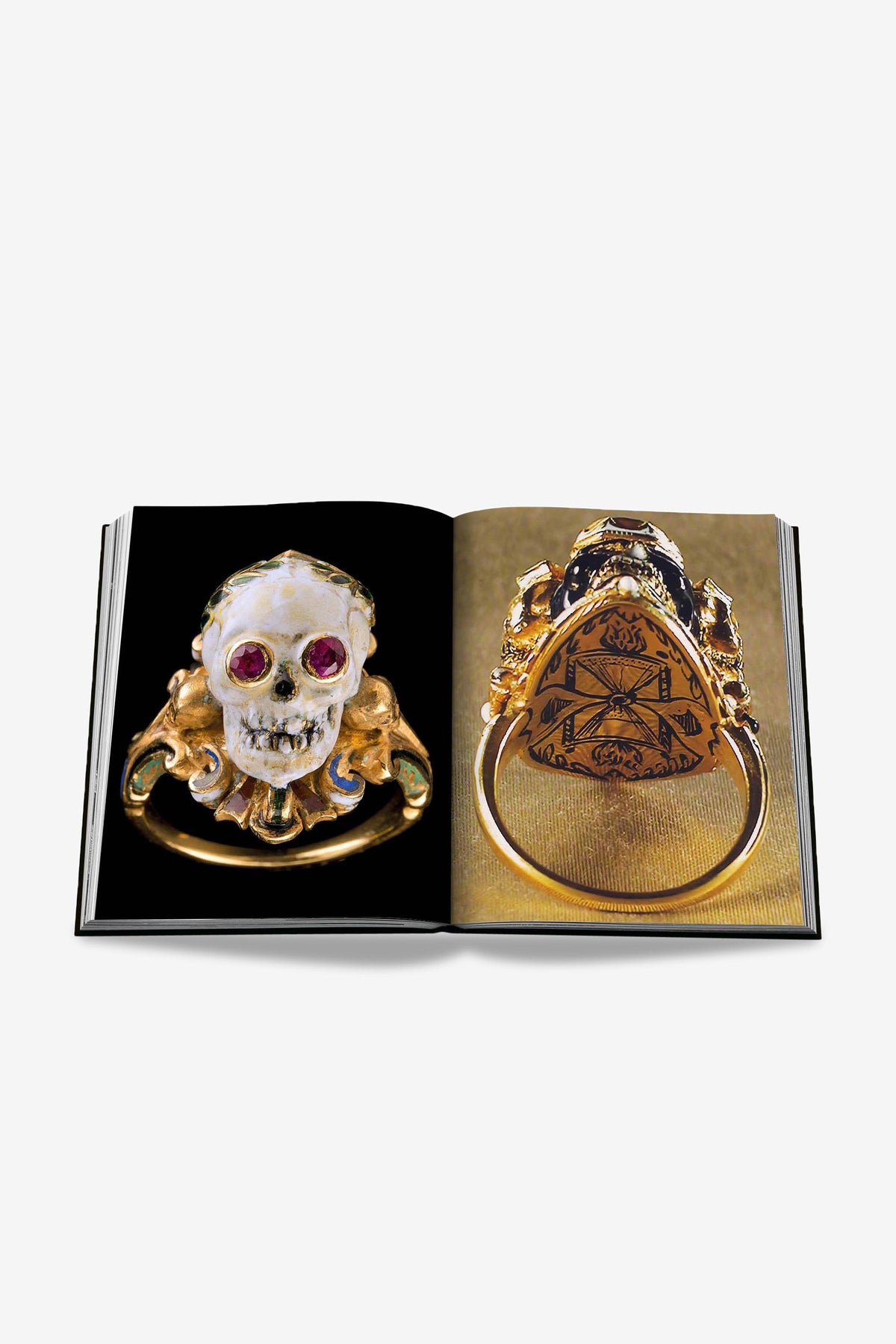 ASSOULINE | CODOGNATO MASTERPIECE