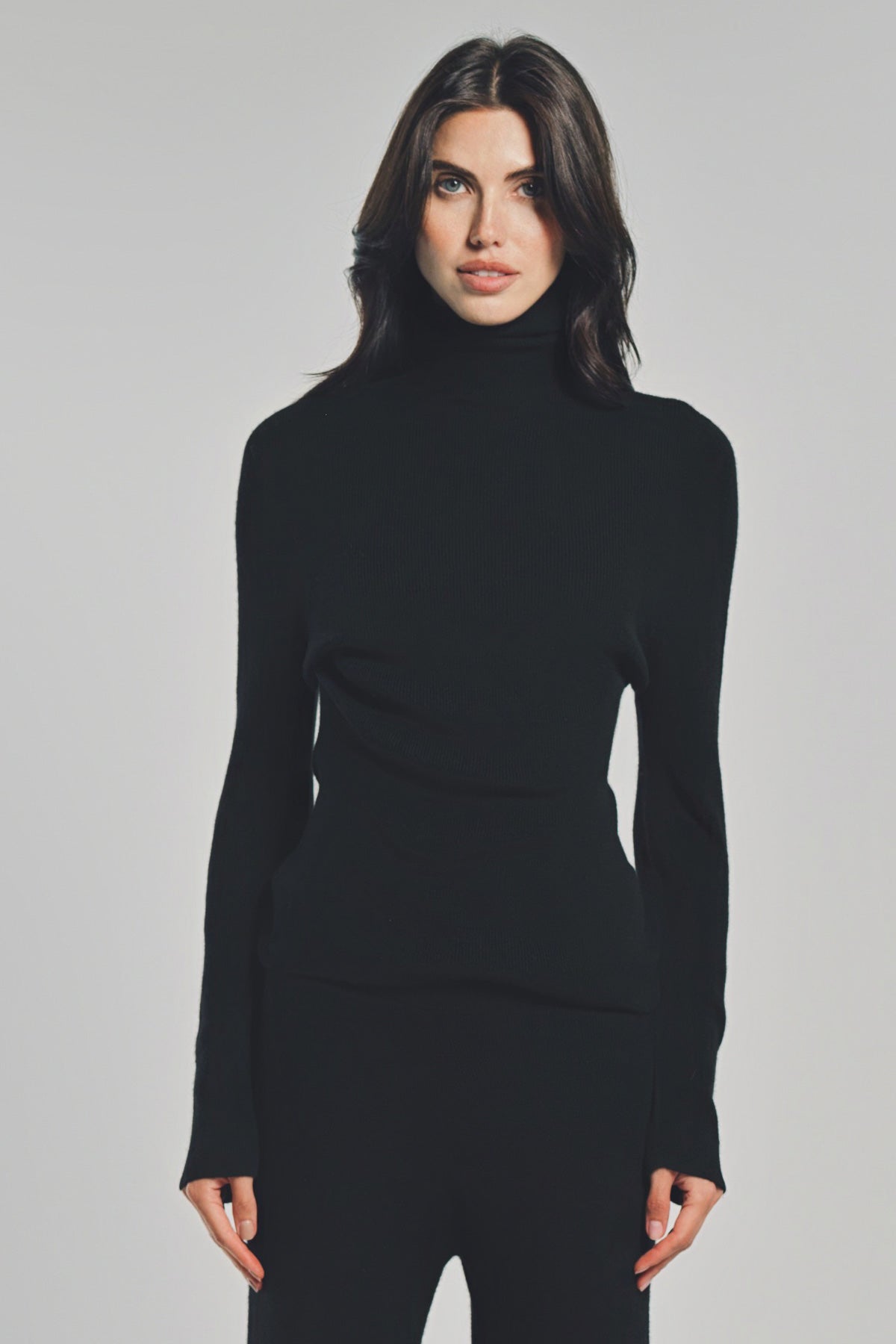 THE ELDER STATESMAN | DELICASH TURTLENECK