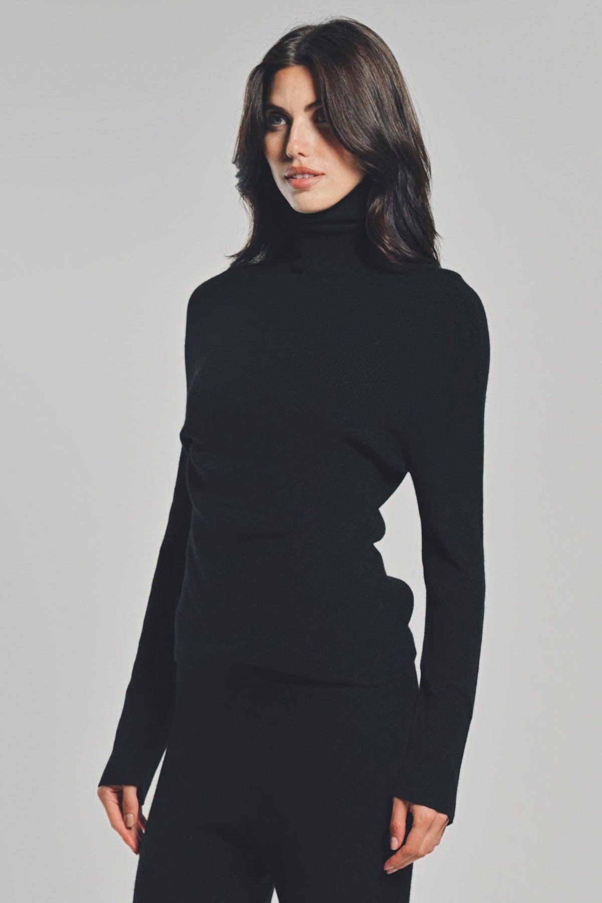 THE ELDER STATESMAN | DELICASH TURTLENECK