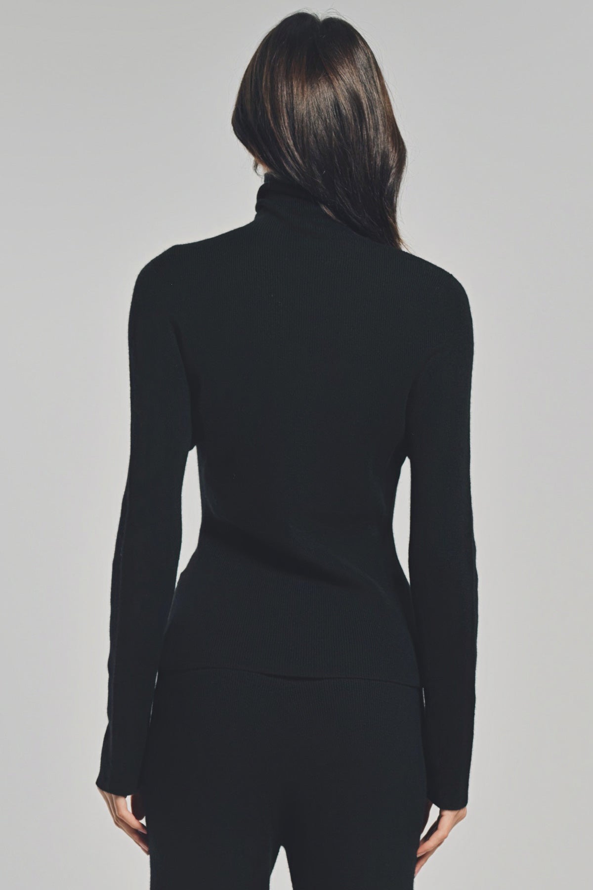 THE ELDER STATESMAN | DELICASH TURTLENECK