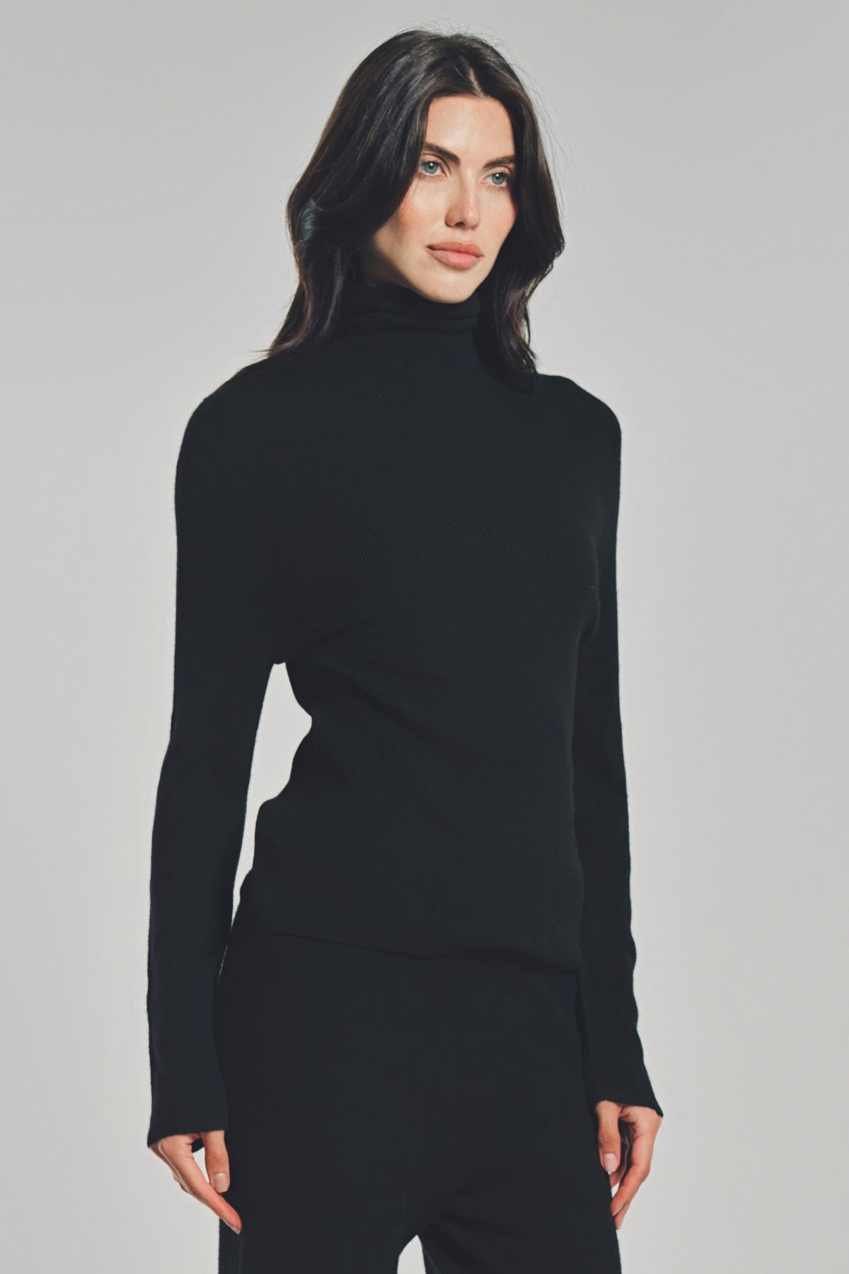 THE ELDER STATESMAN | DELICASH TURTLENECK