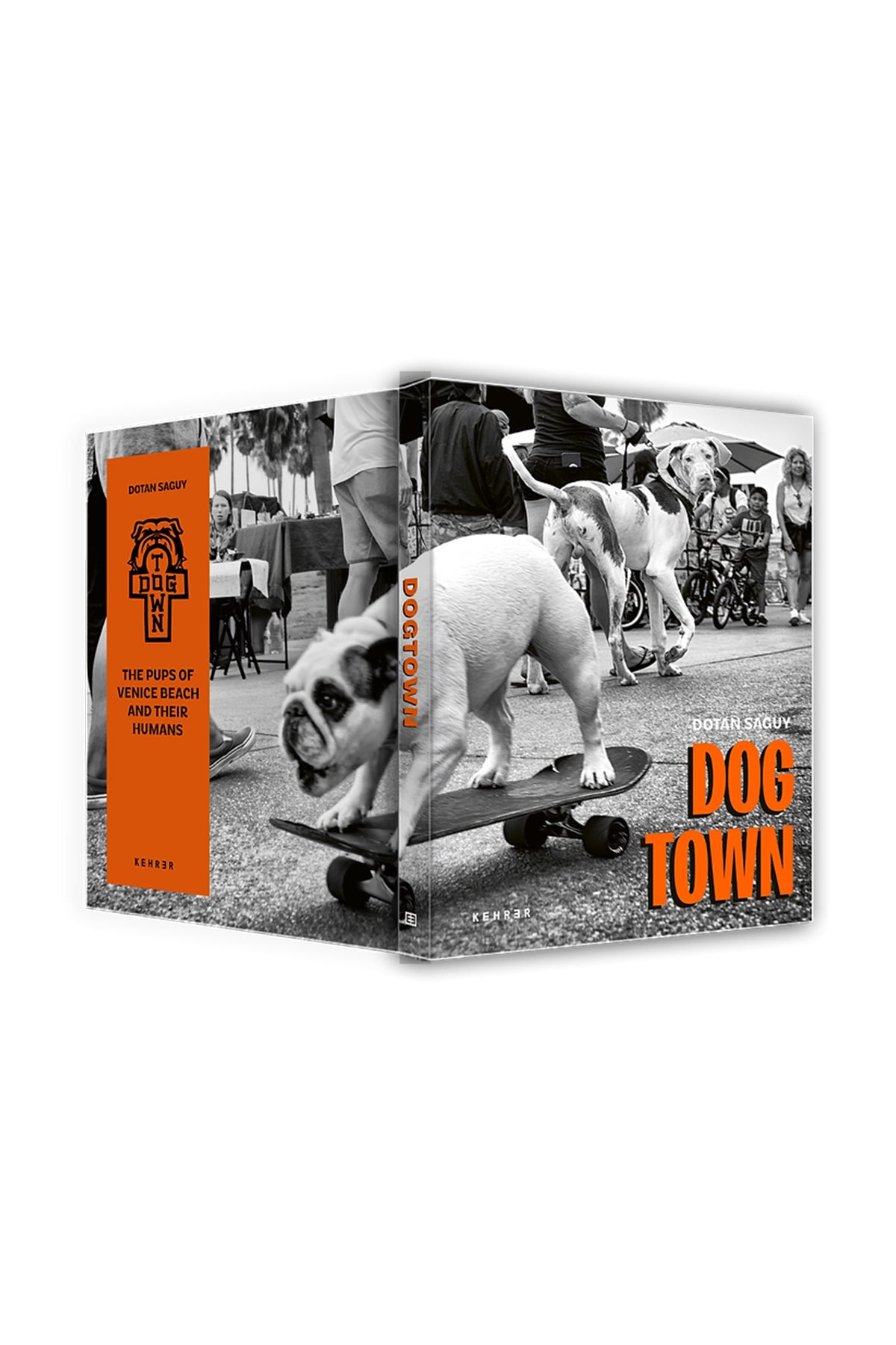 INGRAM | DOGTOWN - MAXFIELD LA
