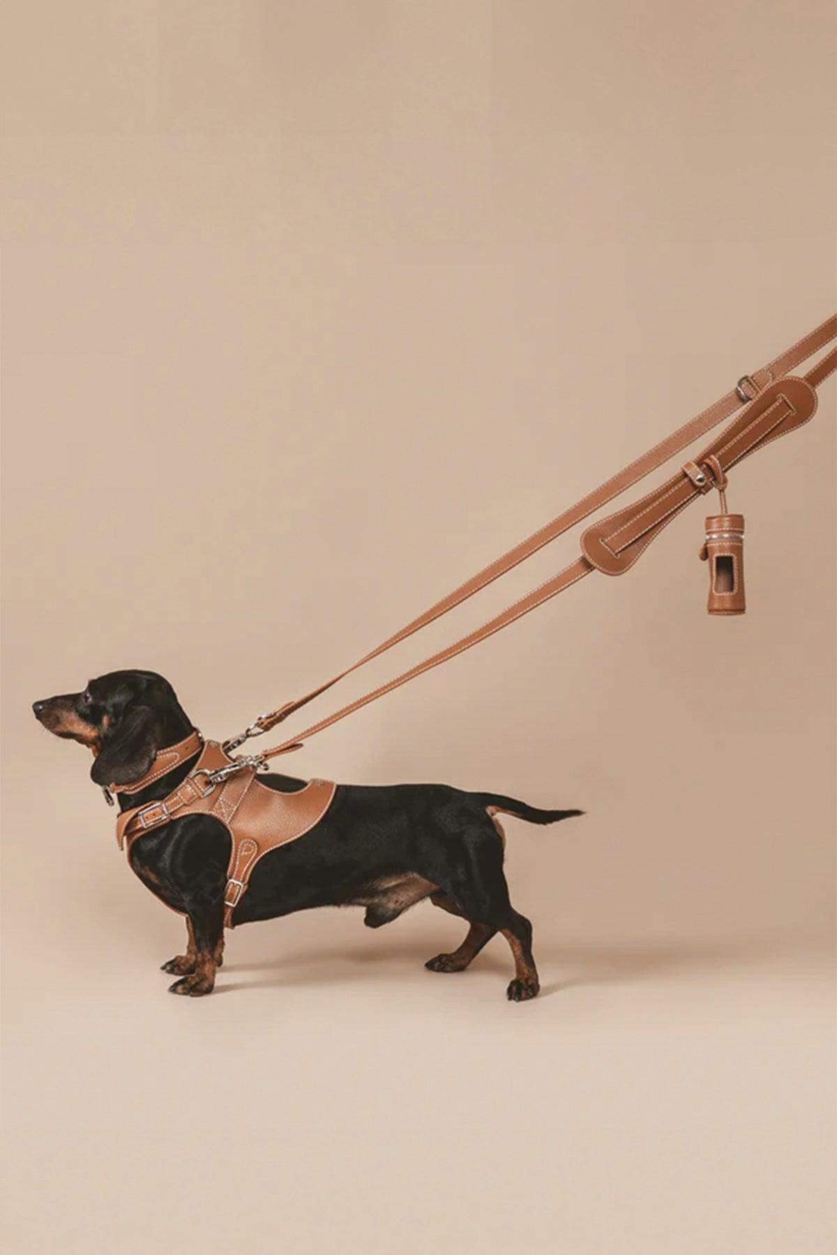 PAGERIE | THE TASCHER LEASH - MAXFIELD LA