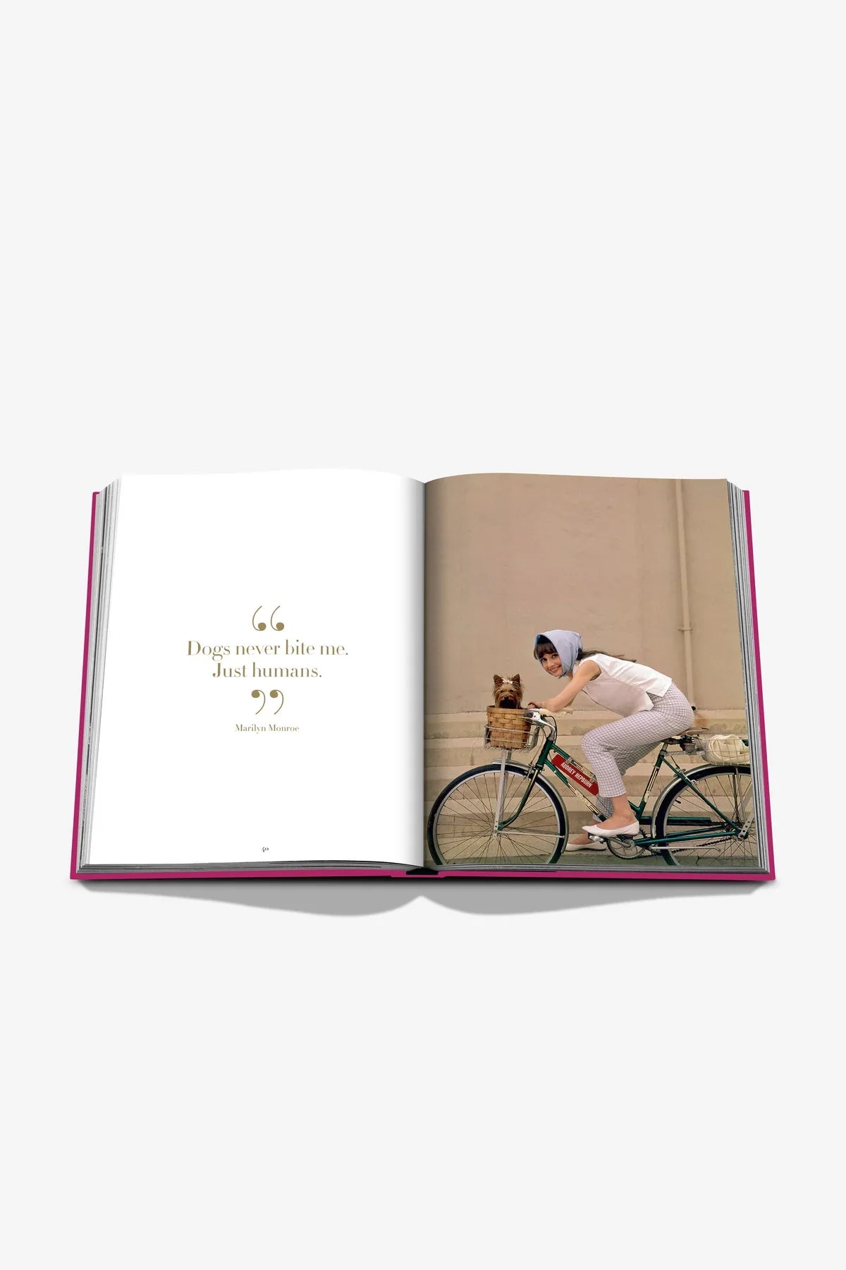 ASSOULINE | CHIC DOGS
