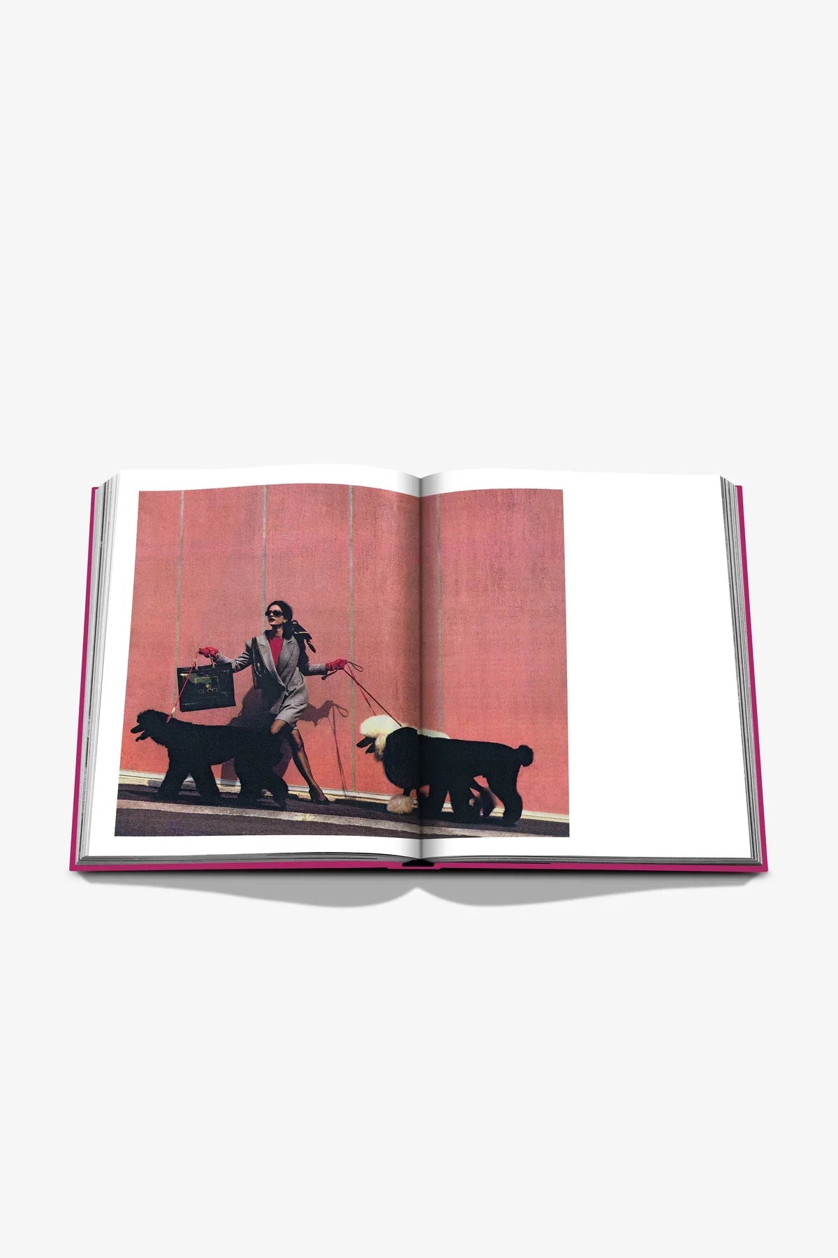 ASSOULINE | CHIC DOGS