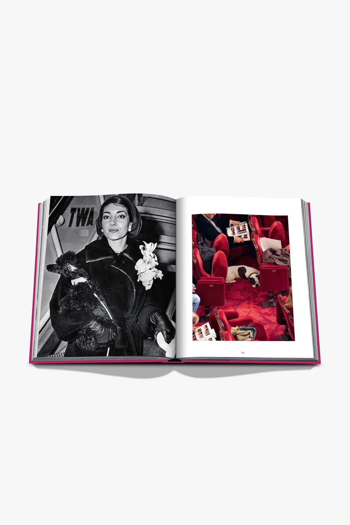 ASSOULINE | CHIC DOGS