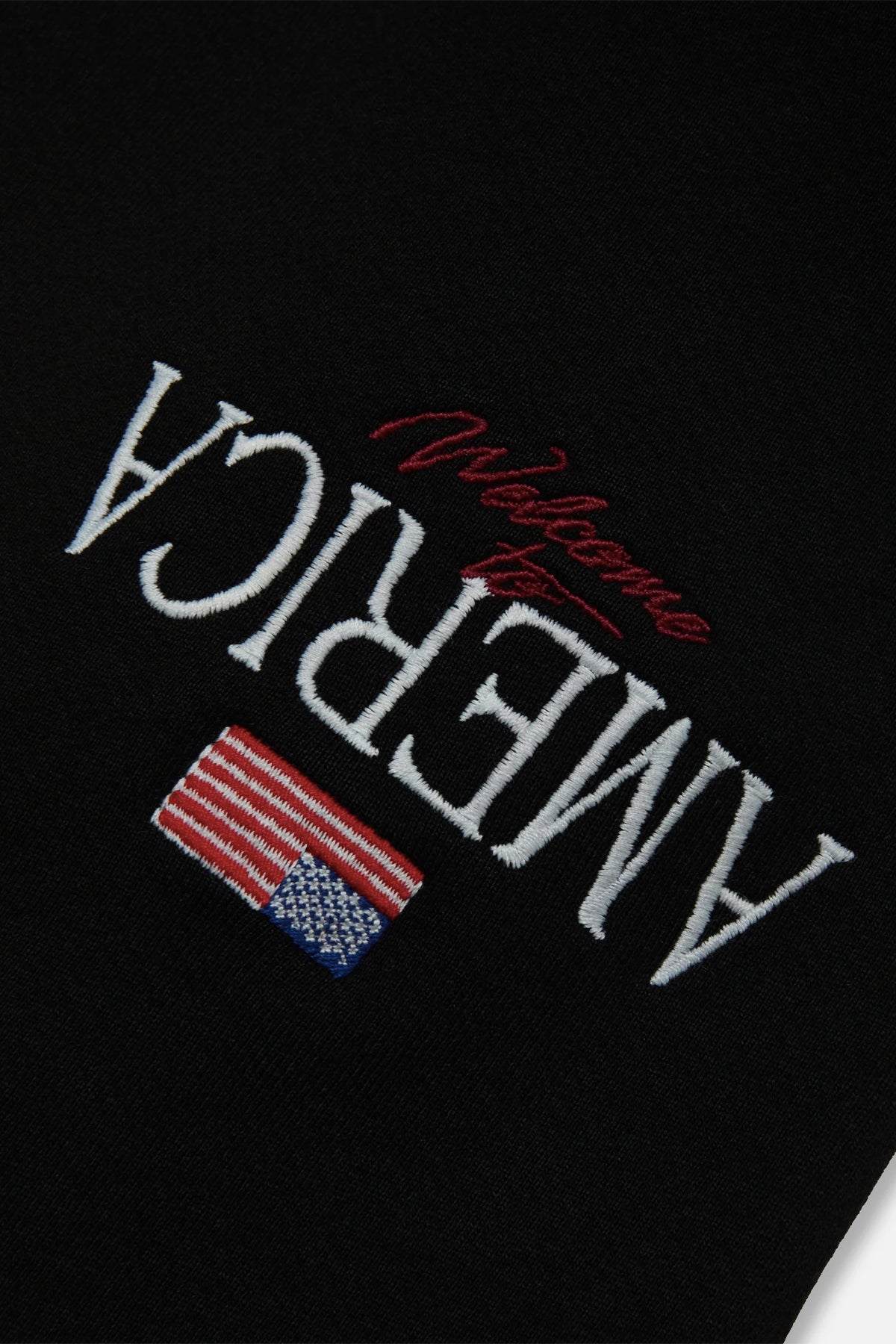 WILLY CHAVARRIA | WELCOME TO AMERICA BIG BOX BUFFALO TEE
