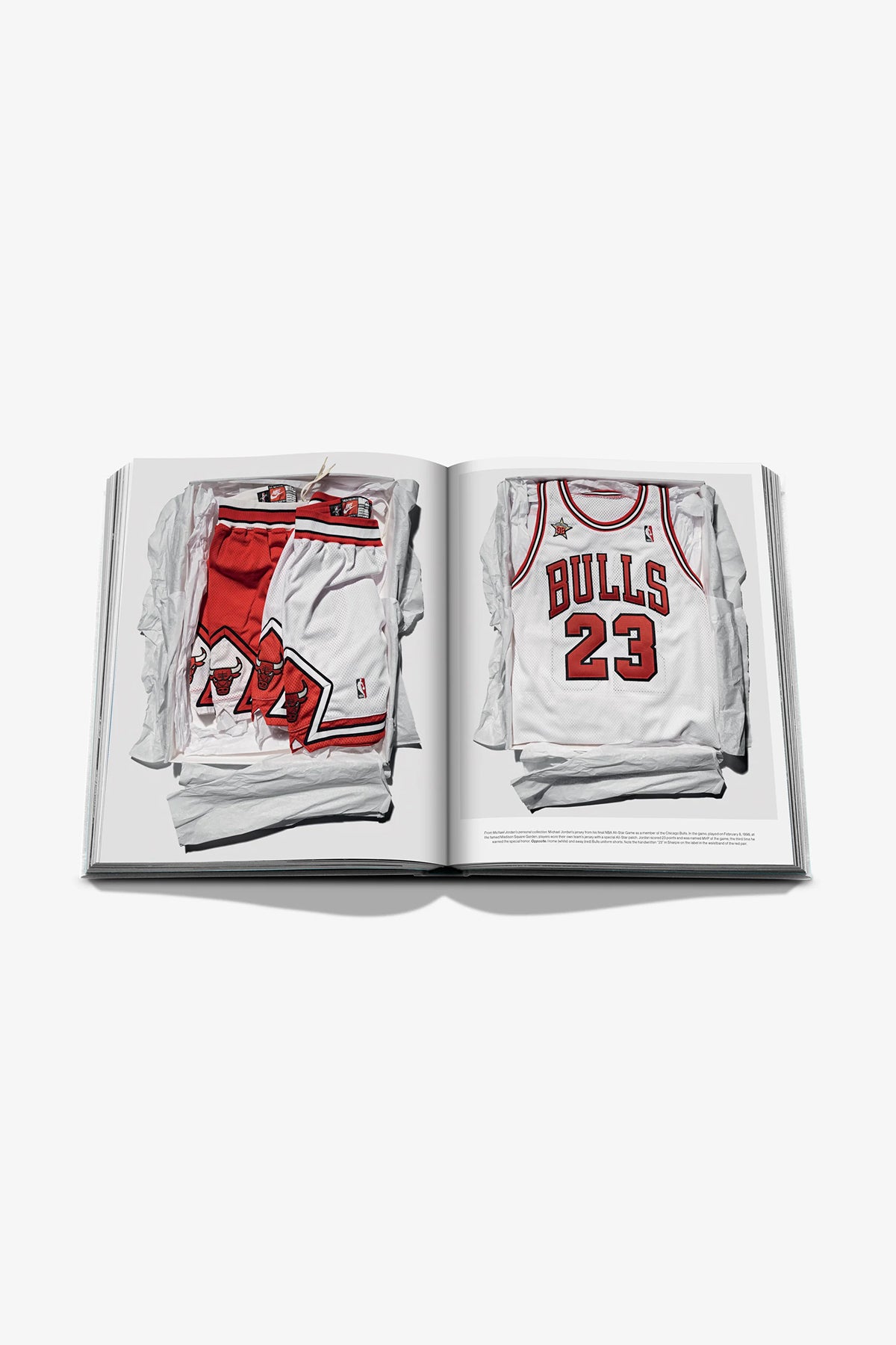 ASSOULINE | AIR JORDAN CLASSIC