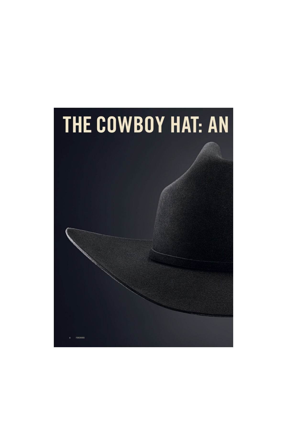 RIZZOLI | STETSON
