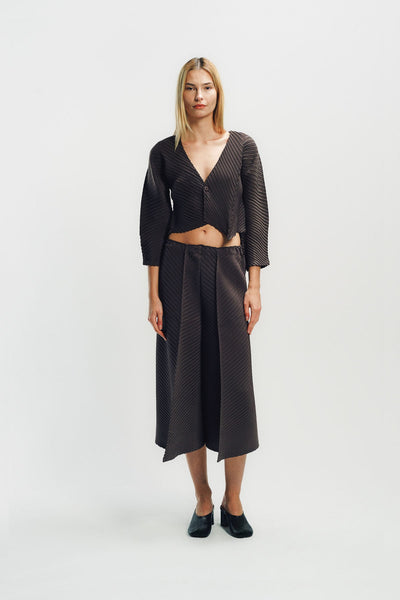 ISSEY MIYAKE | PLASTER PLEATS PANTS