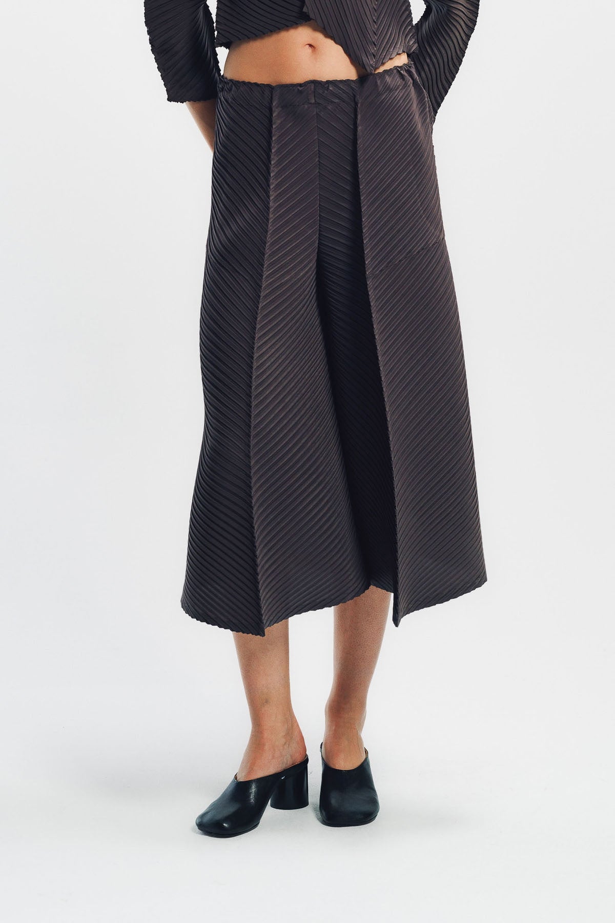 ISSEY MIYAKE | PLASTER PLEATS PANTS