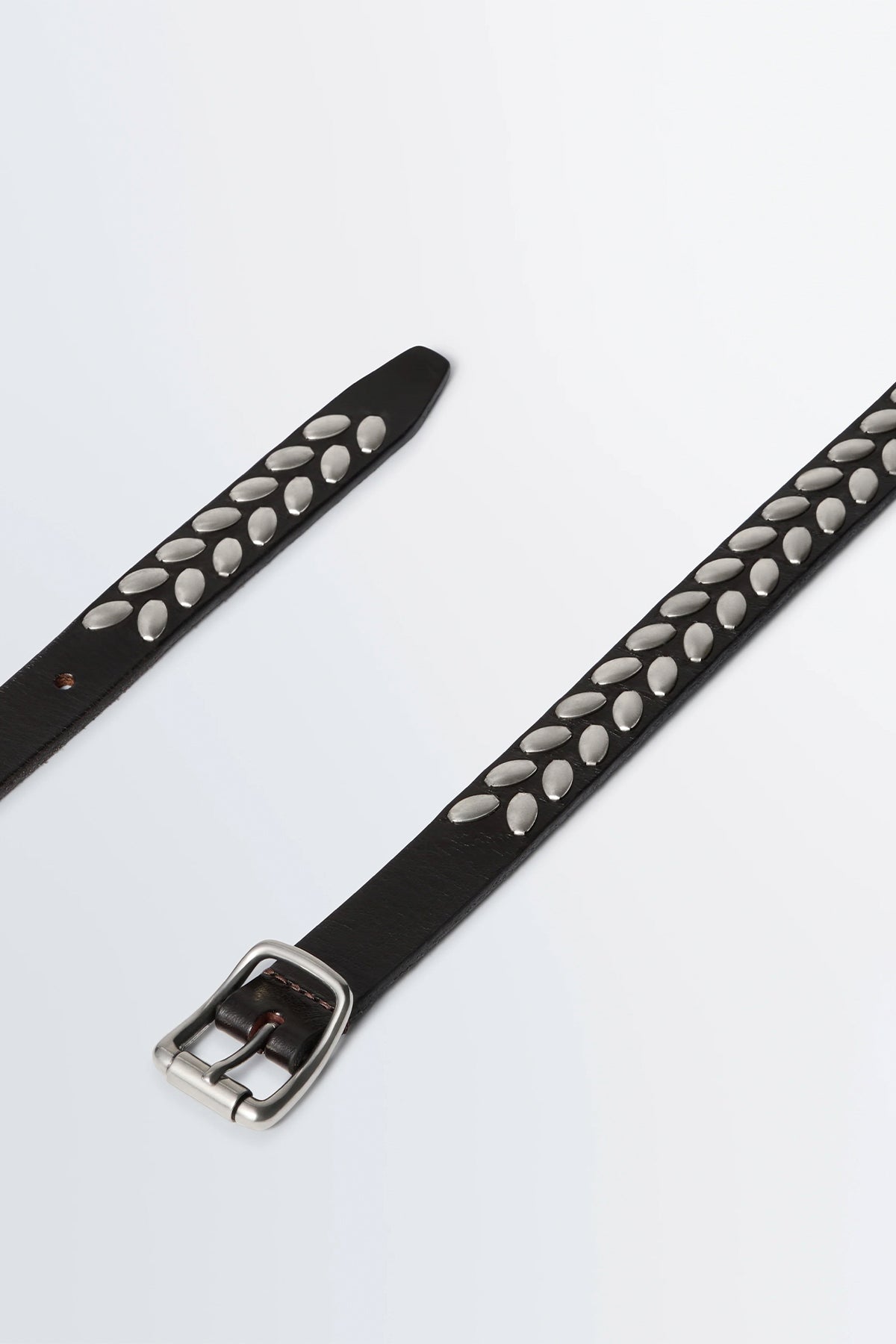 LEMAIRE | ALMOND STUD BELT 20 MM IN LEATHER