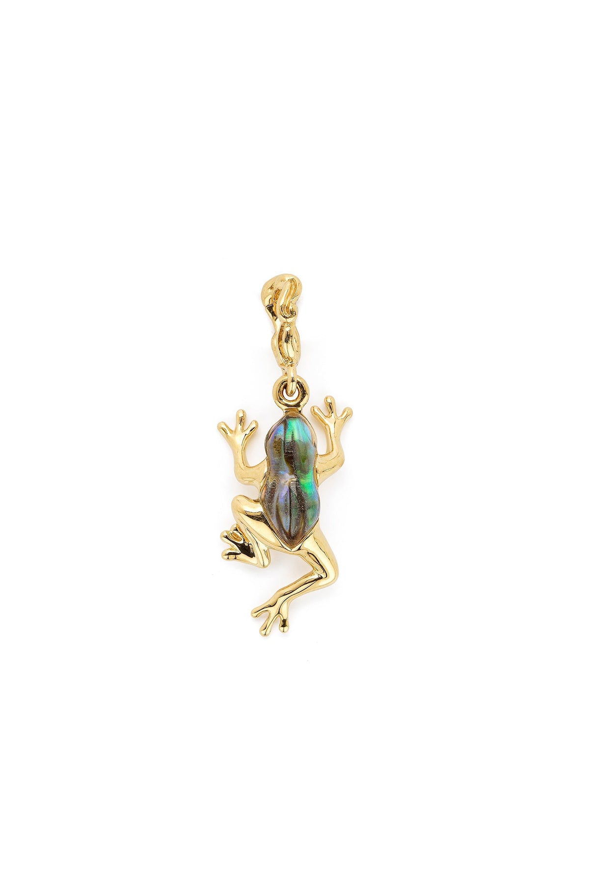 Bibi van der Velden | Frog Charm