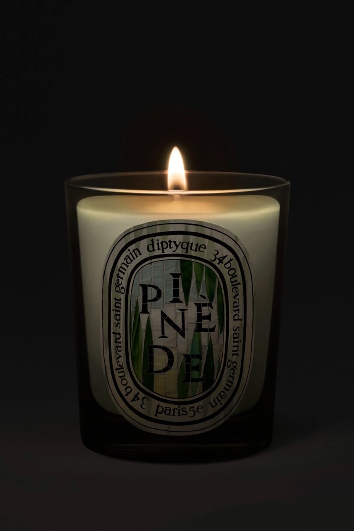 Diptyque | Pinède 190G Candle