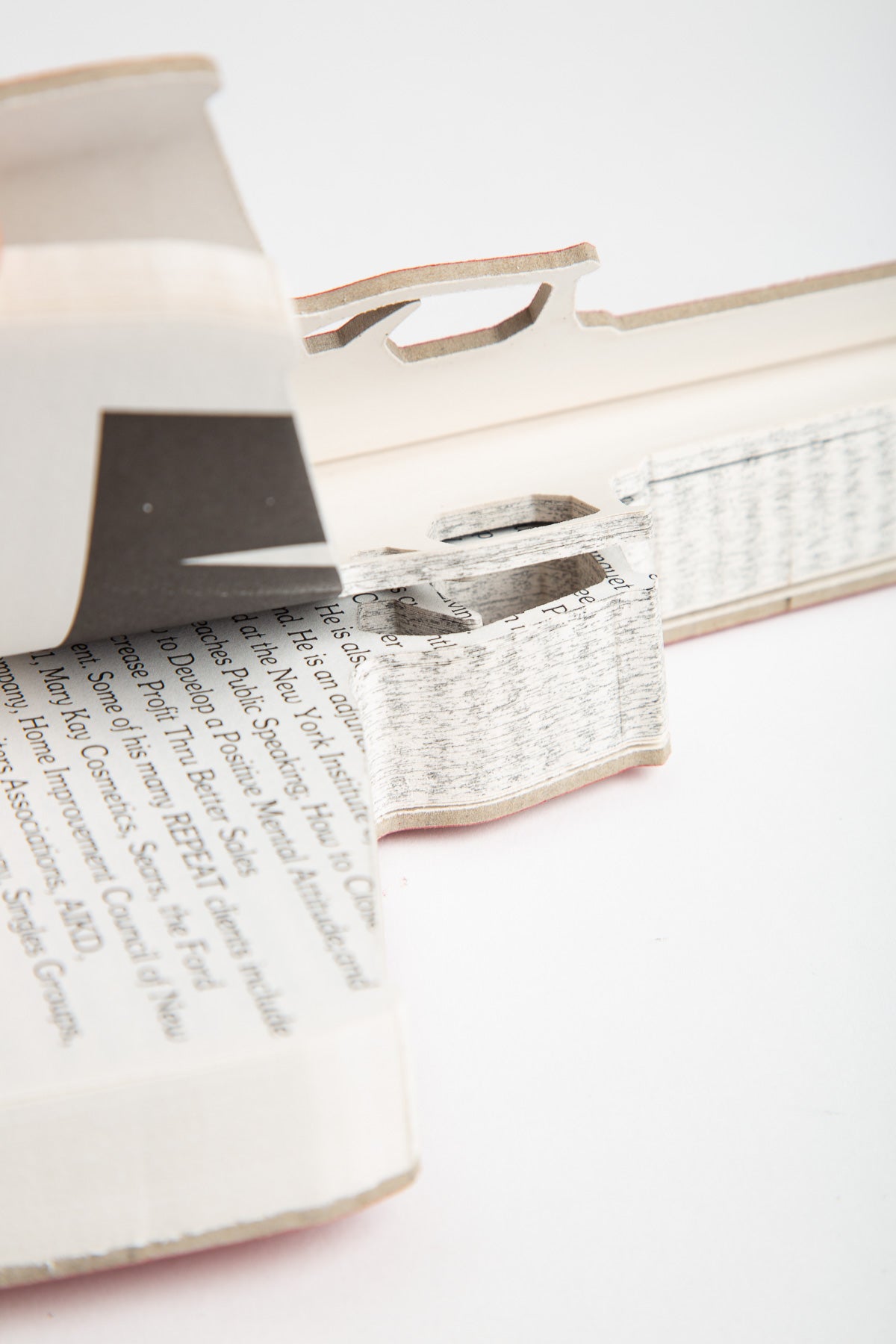 Robert The | 1996-97 Magnificent Motivators Carved Bookgun