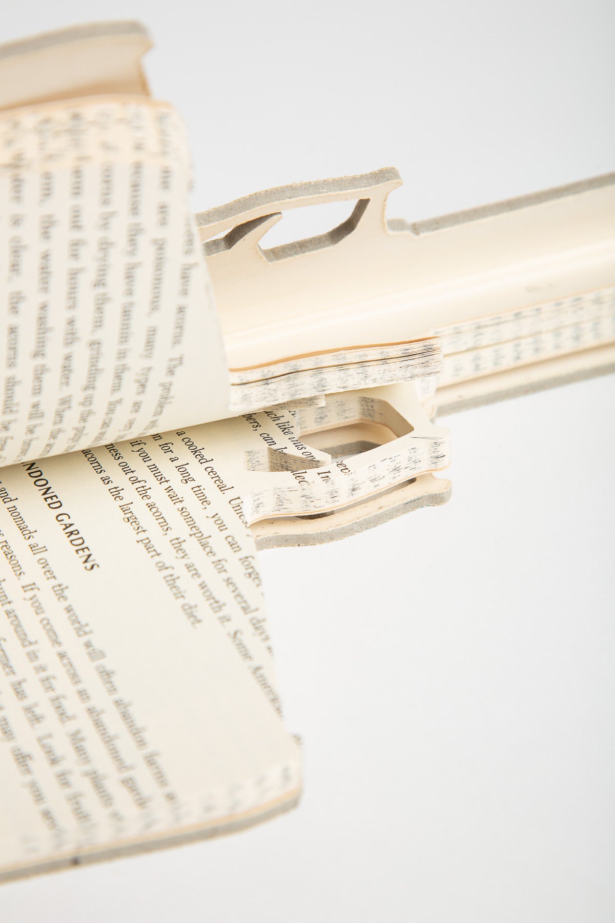 Robert The | You Can Survive Carved Bookgun