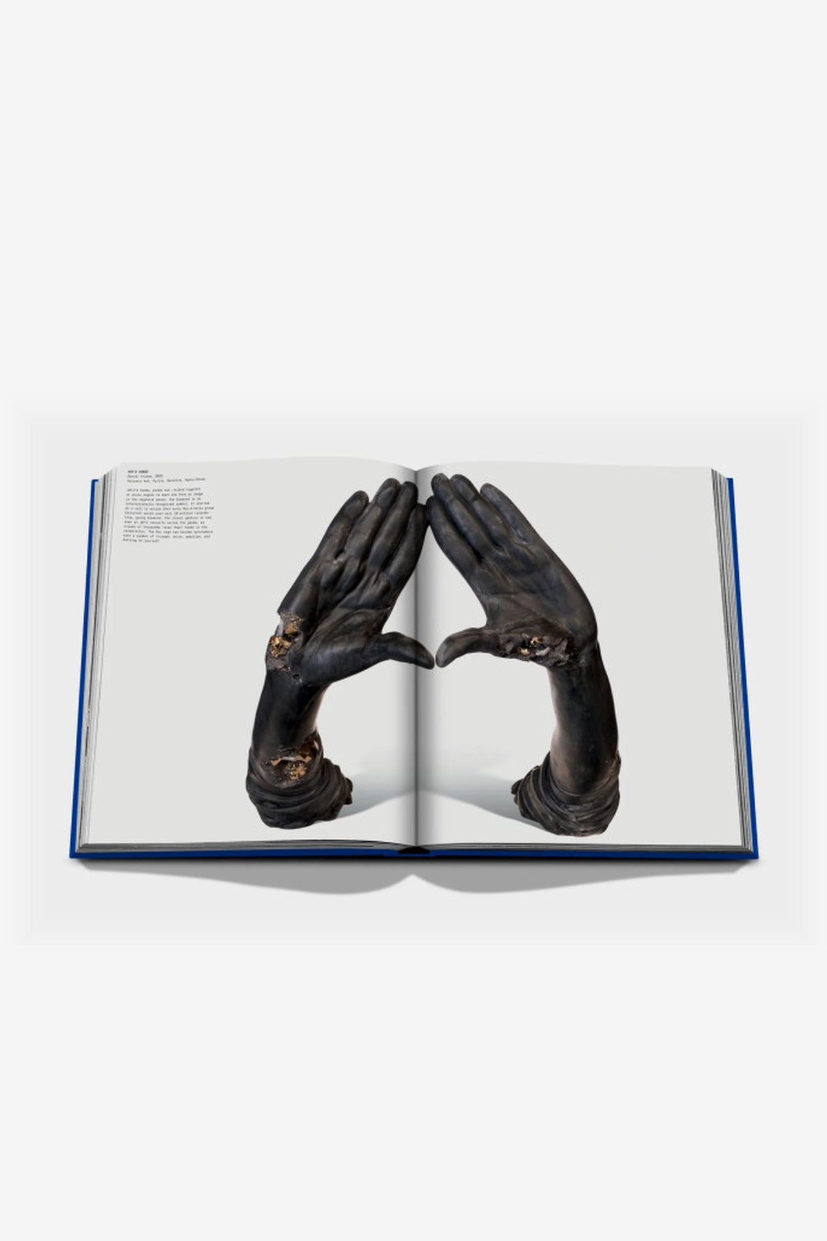 Assouline | The Book of HOV: A Tribute to Jay-Z (Classic)