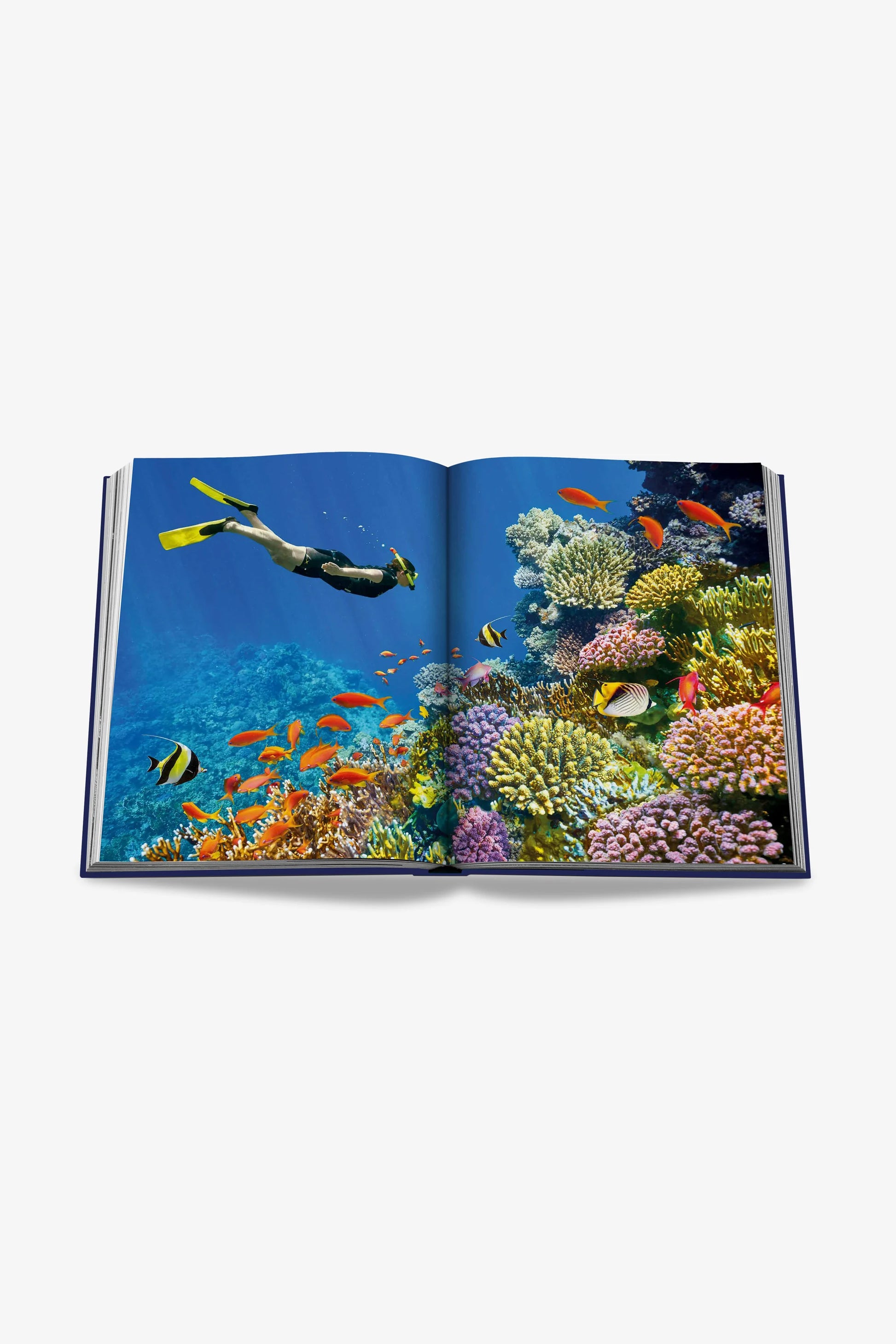 ASSOULINE | OCEAN WANDERLUST - MAXFIELD LA