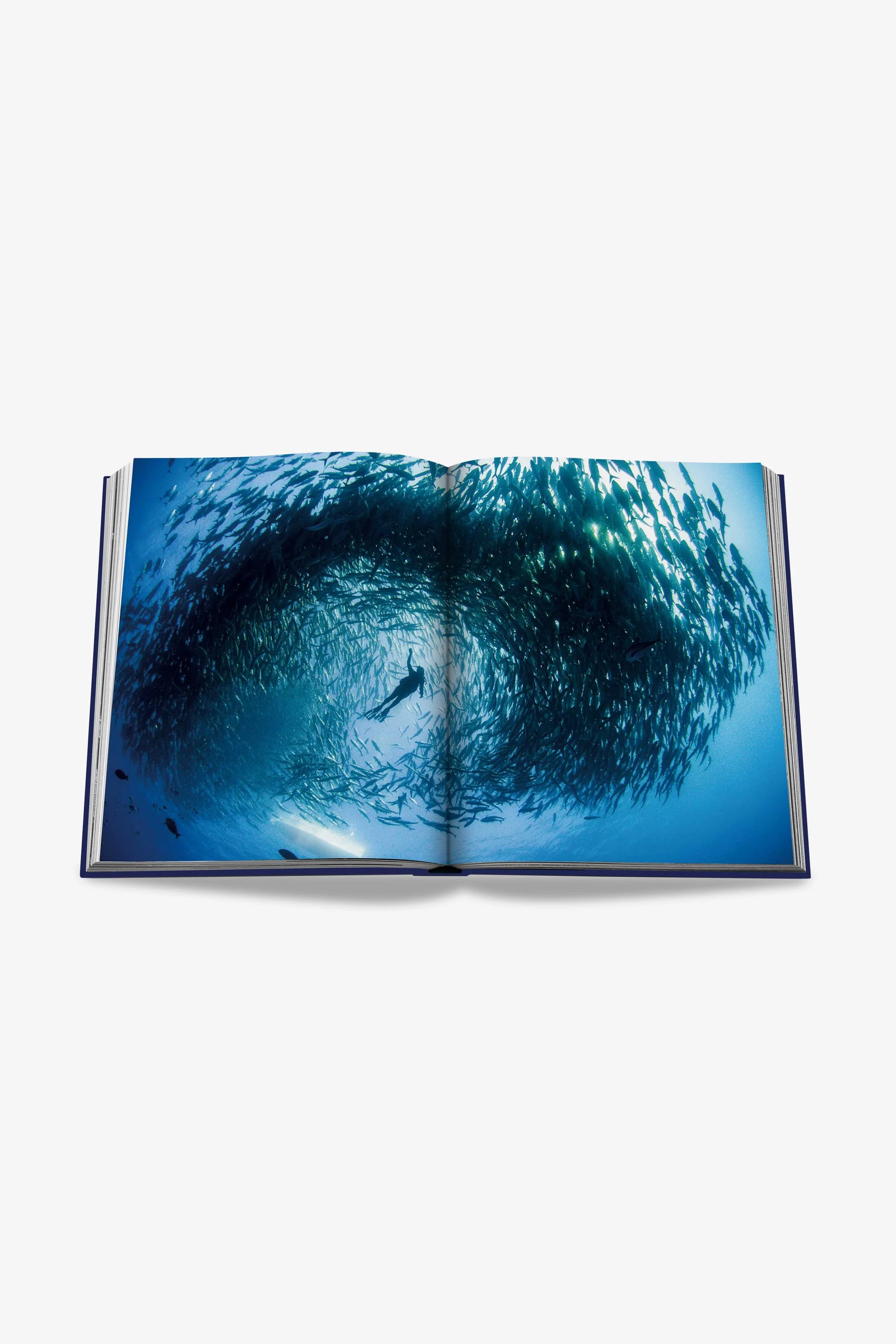 ASSOULINE | OCEAN WANDERLUST