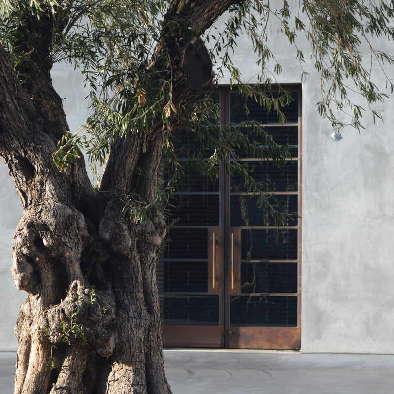 About Maxfield – Los Angeles Concept Store for Fashion & Design