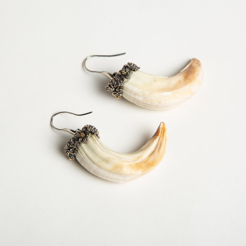 UGO CACCIATORI | BOAR TUSK FOLIAGE EARRINGS