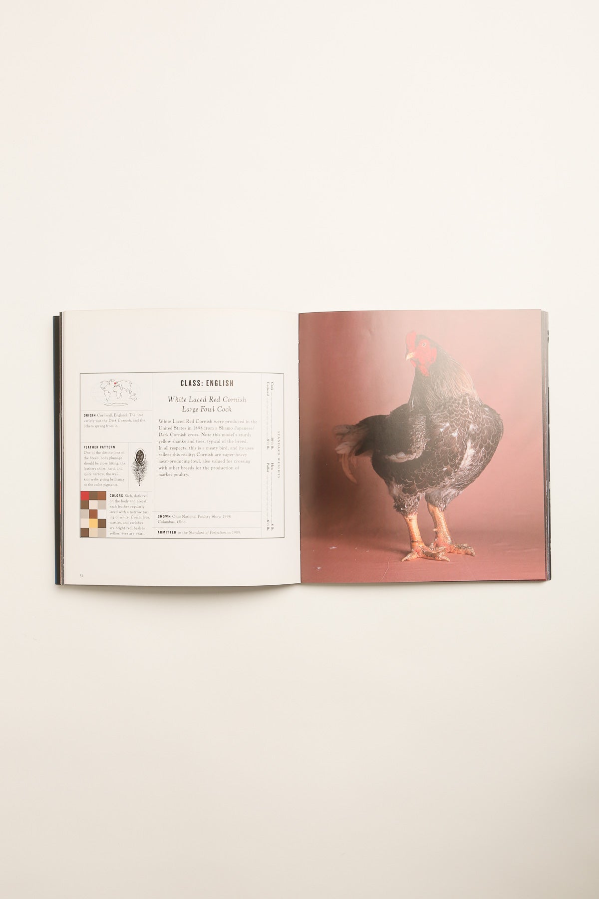 CHRONICLE | THE FAIREST FOWL: PORTRAITS OF CHAMPIONSHIP CHICKENS - MAXFIELD LA