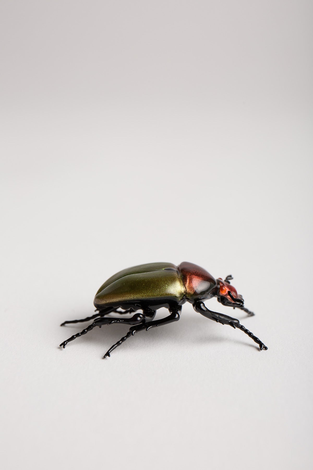 MAXFIELD PRIVATE COLLECTION | GREEN JUNE BEETLE