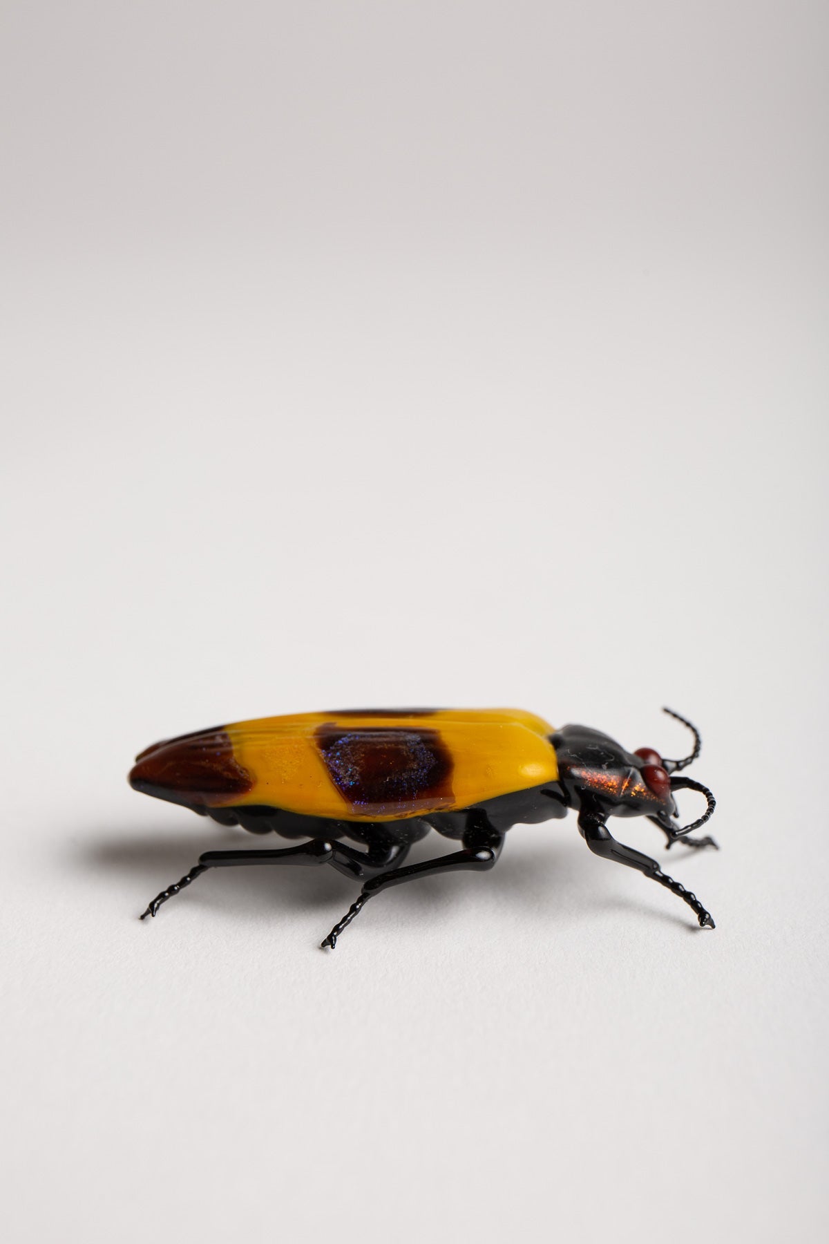 MAXFIELD PRIVATE COLLECTION | STRIPED BEETLE