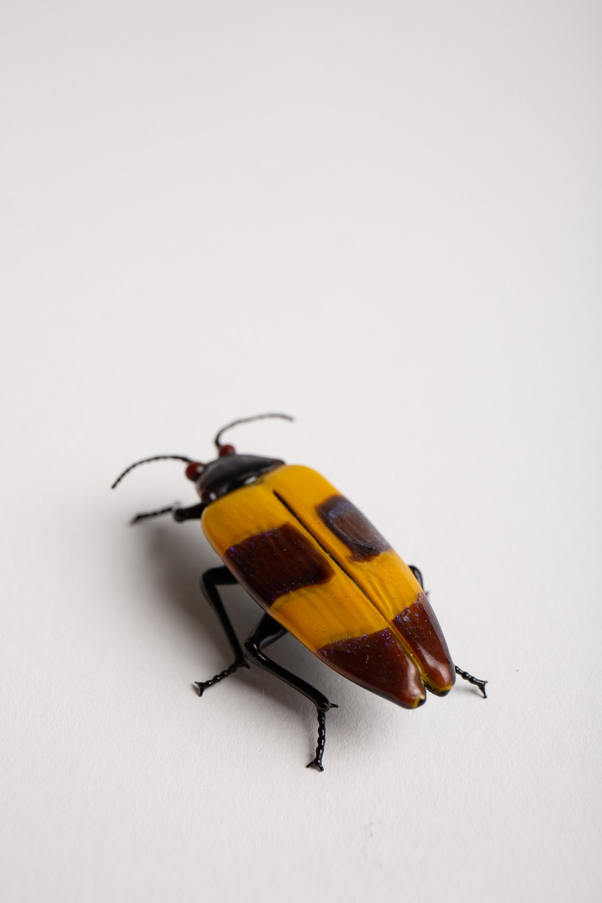 MAXFIELD PRIVATE COLLECTION | STRIPED BEETLE